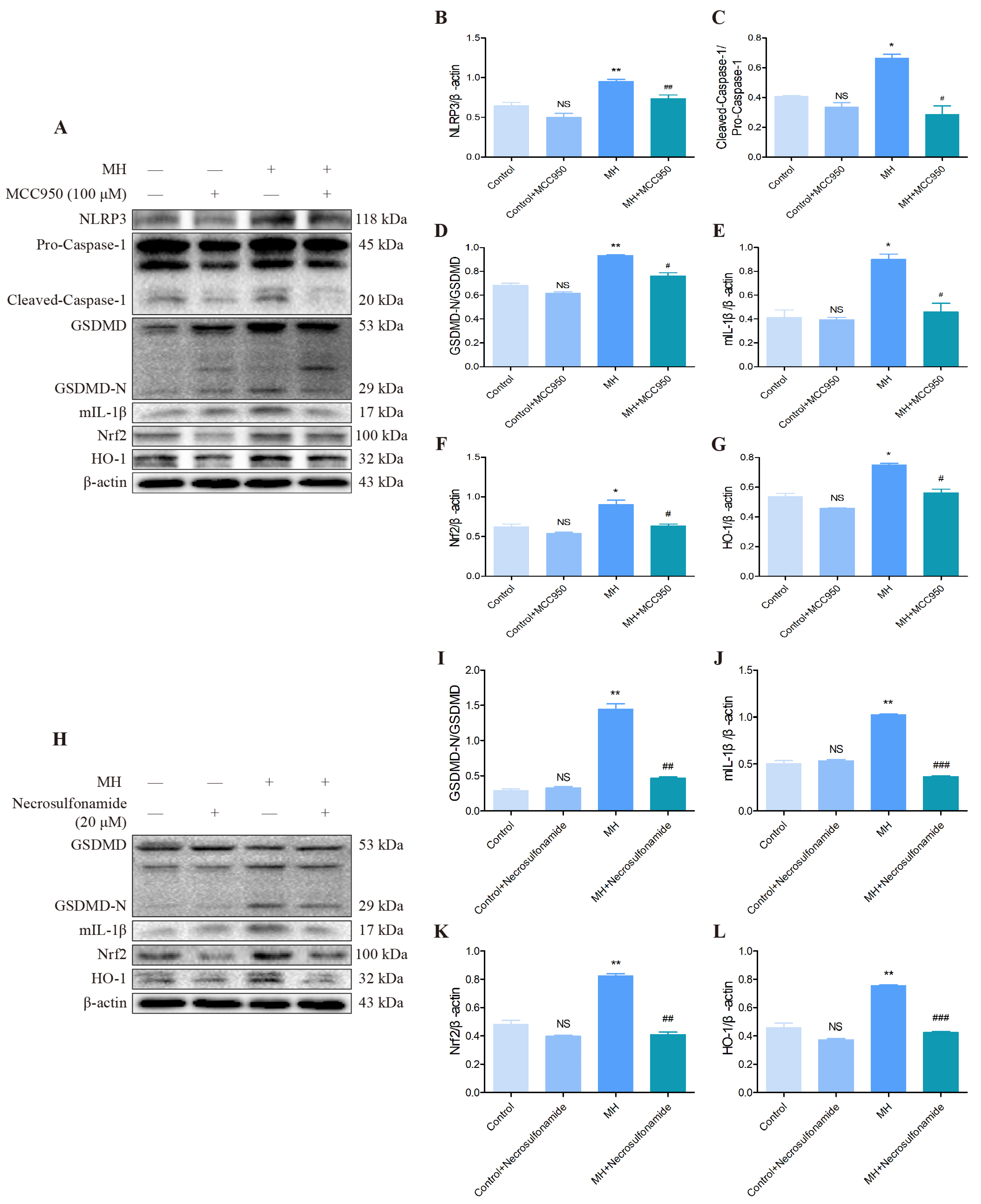Biomolecules 12 00927 g008