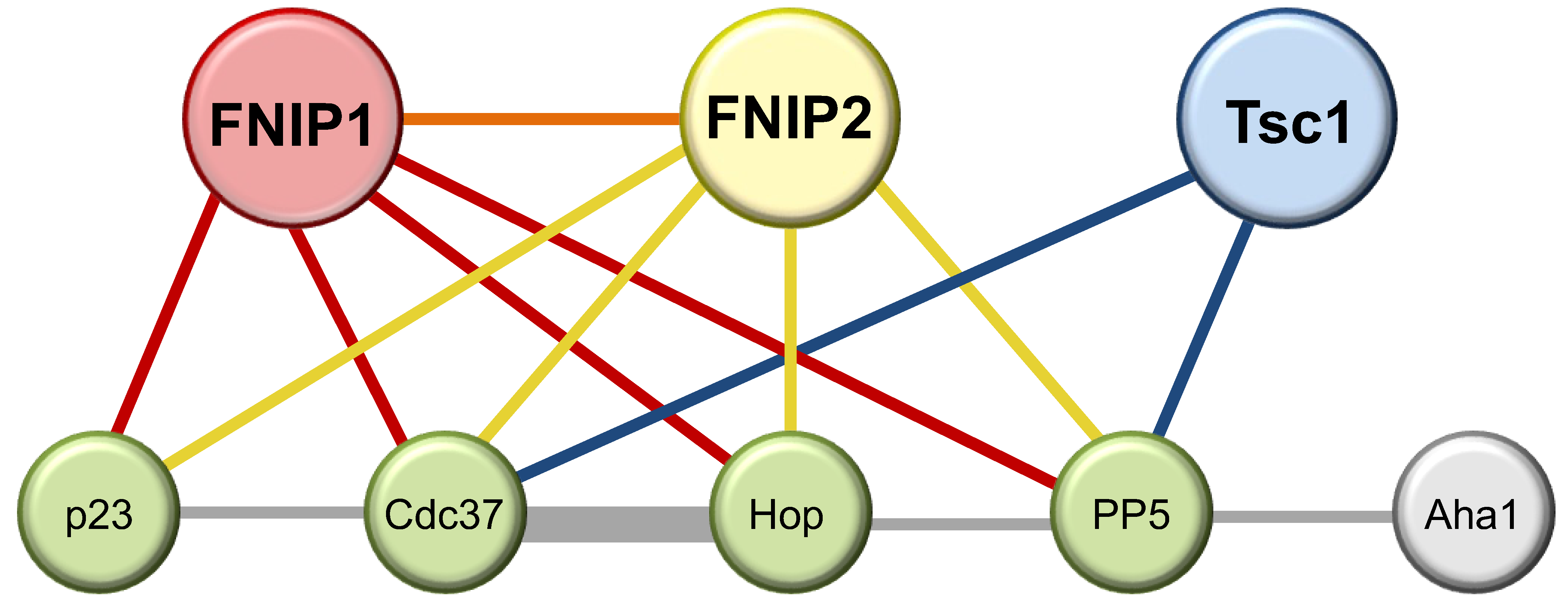 Biomolecules 12 00928 g003