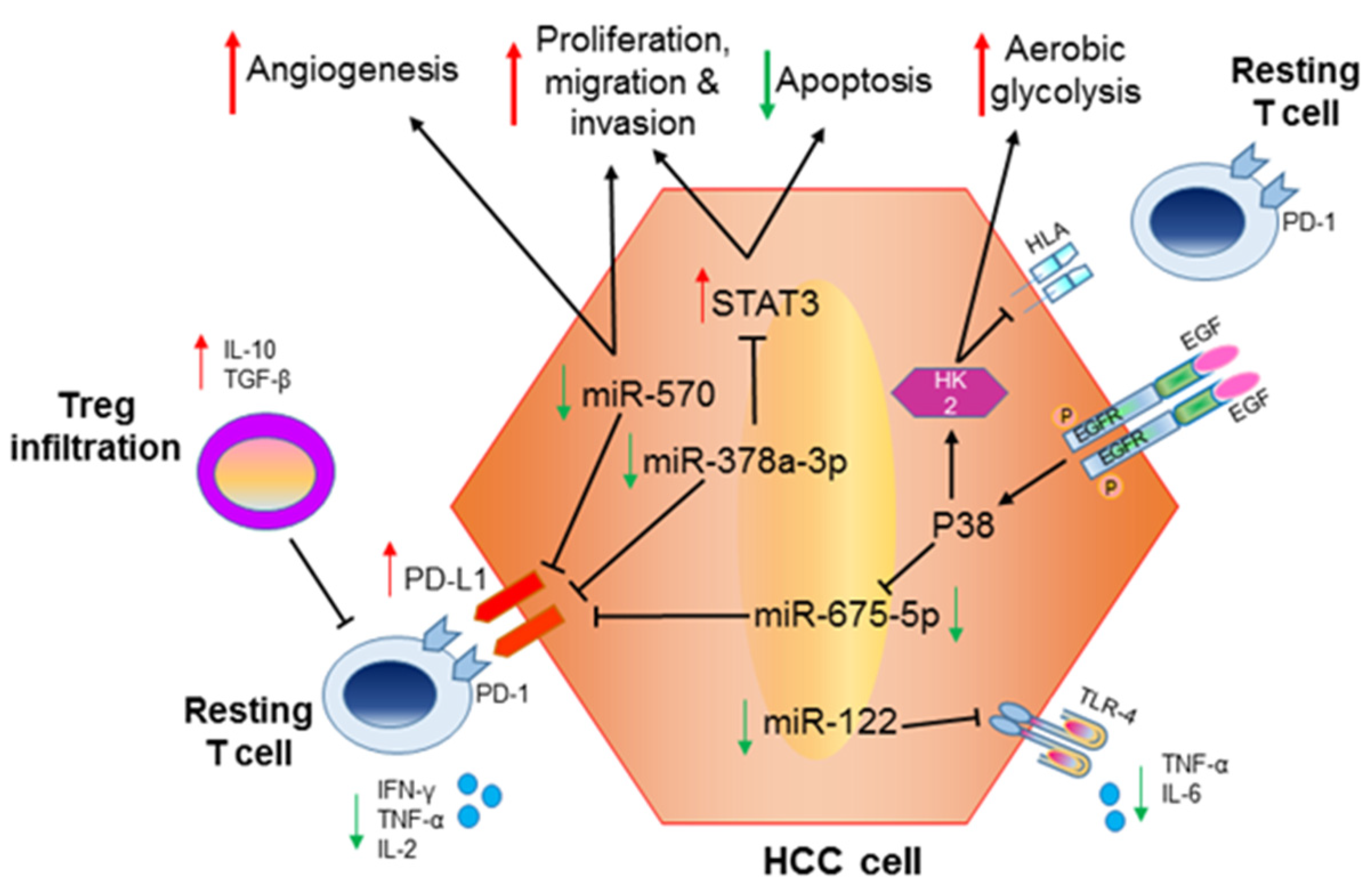 Biomolecules 12 00930 g002 Biomolecules 12 00930 g002