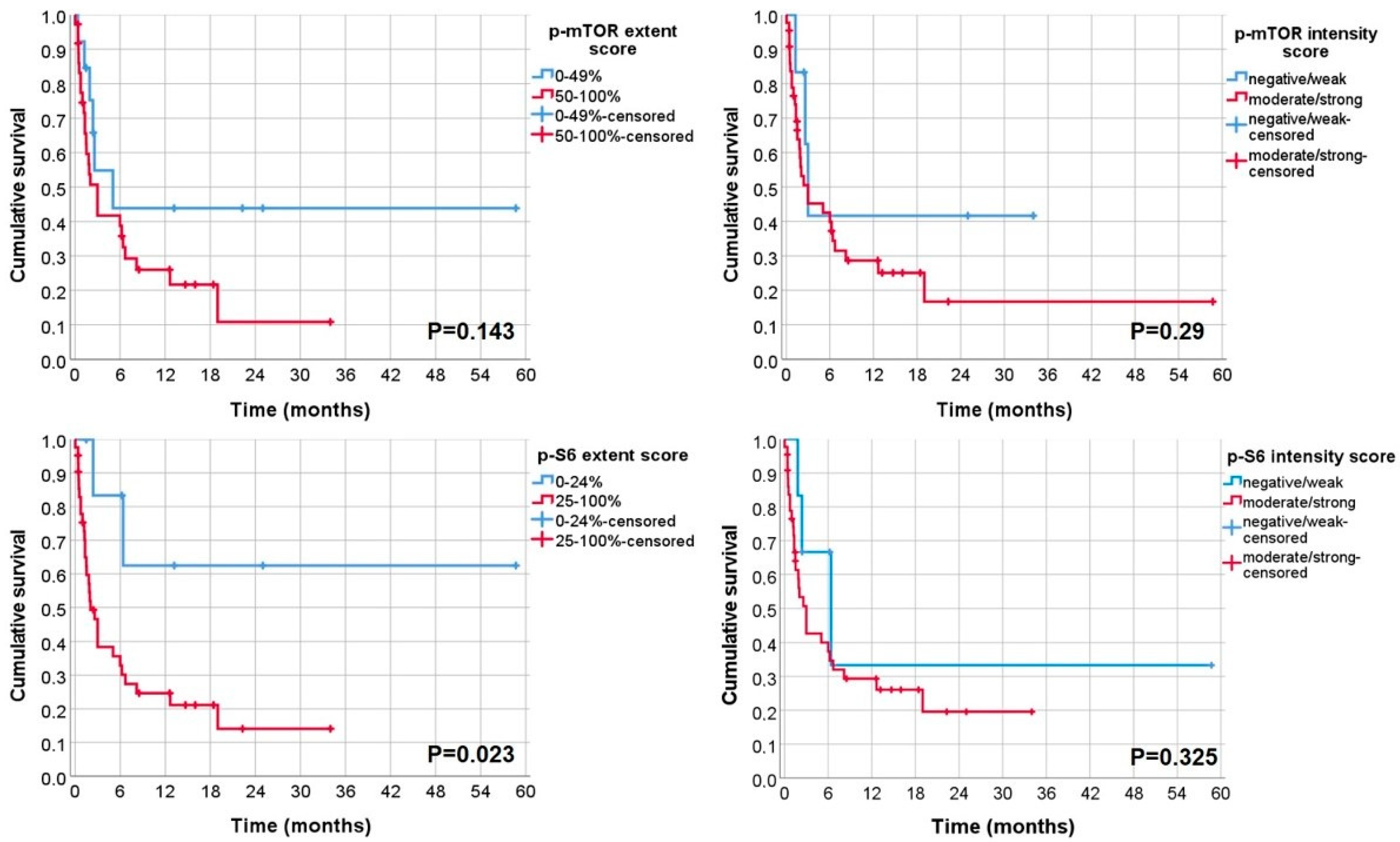 Biomolecules 12 00935 g004