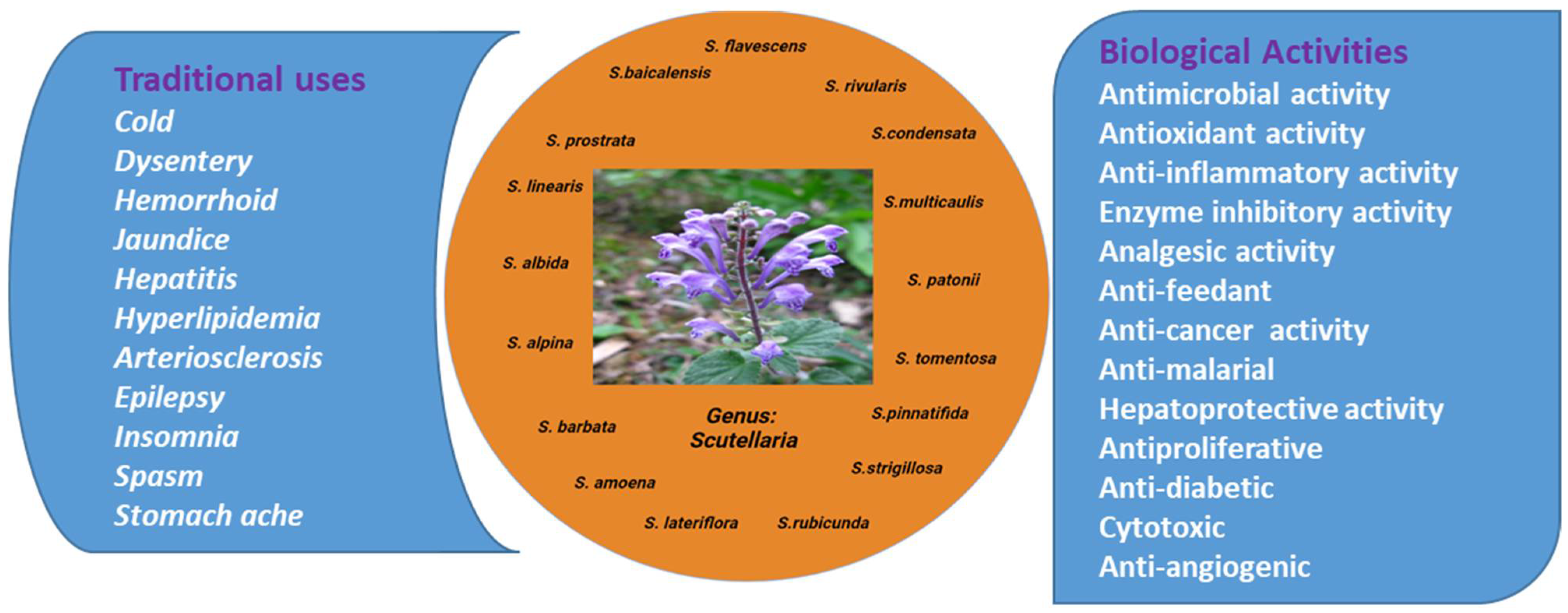 Biomolecules 12 00936 g001 Biomolecules 12 00936 g001