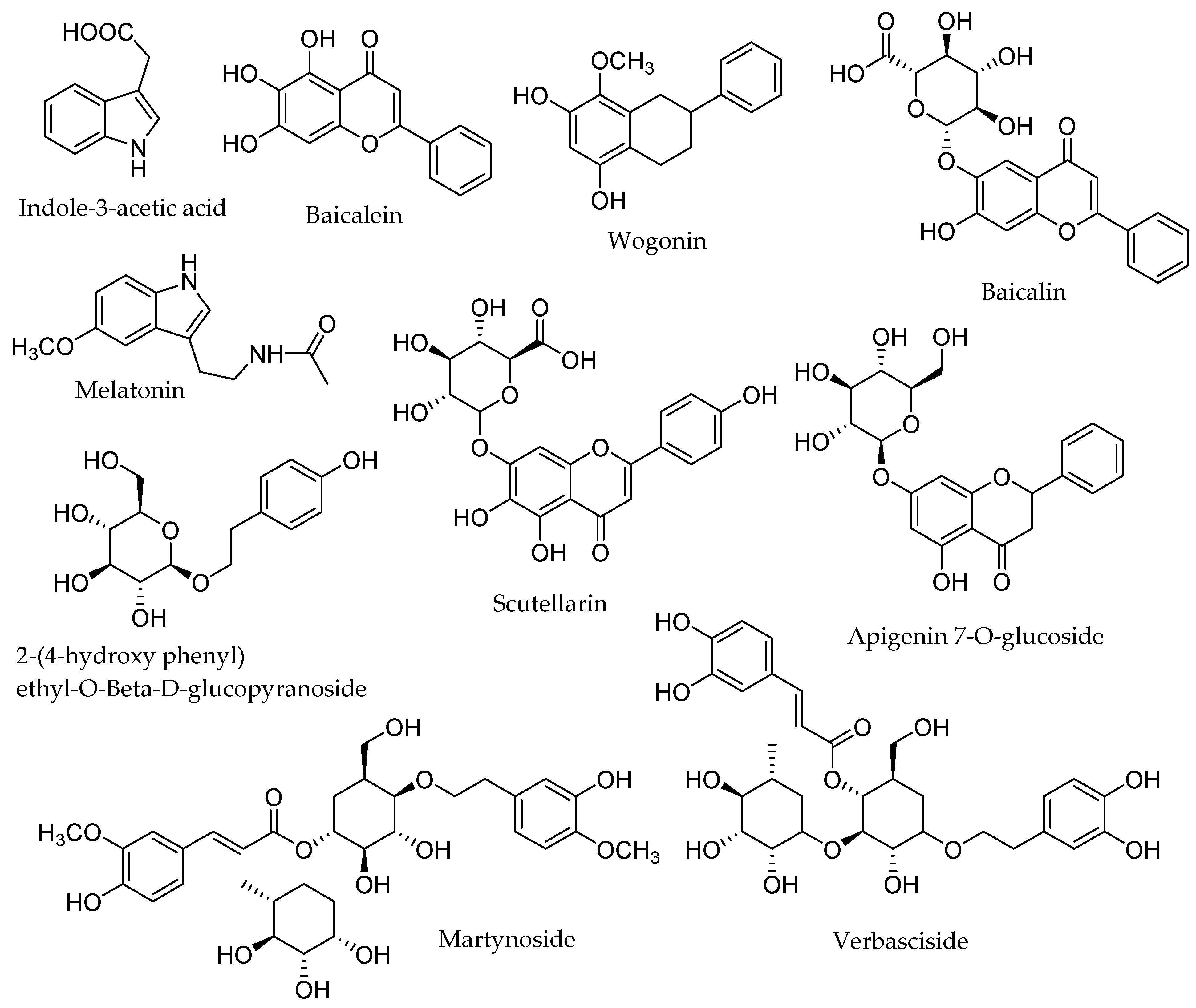 Biomolecules 12 00936 g002 Biomolecules 12 00936 g002