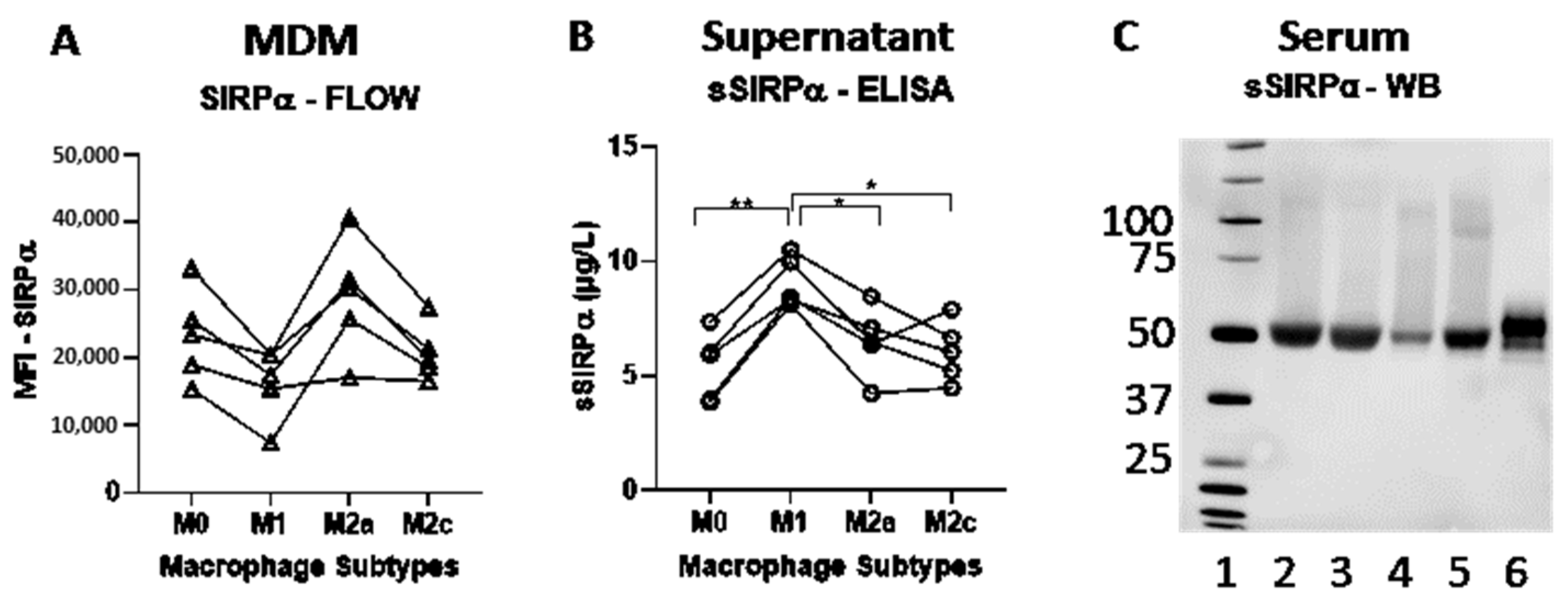 Biomolecules 12 00937 g002