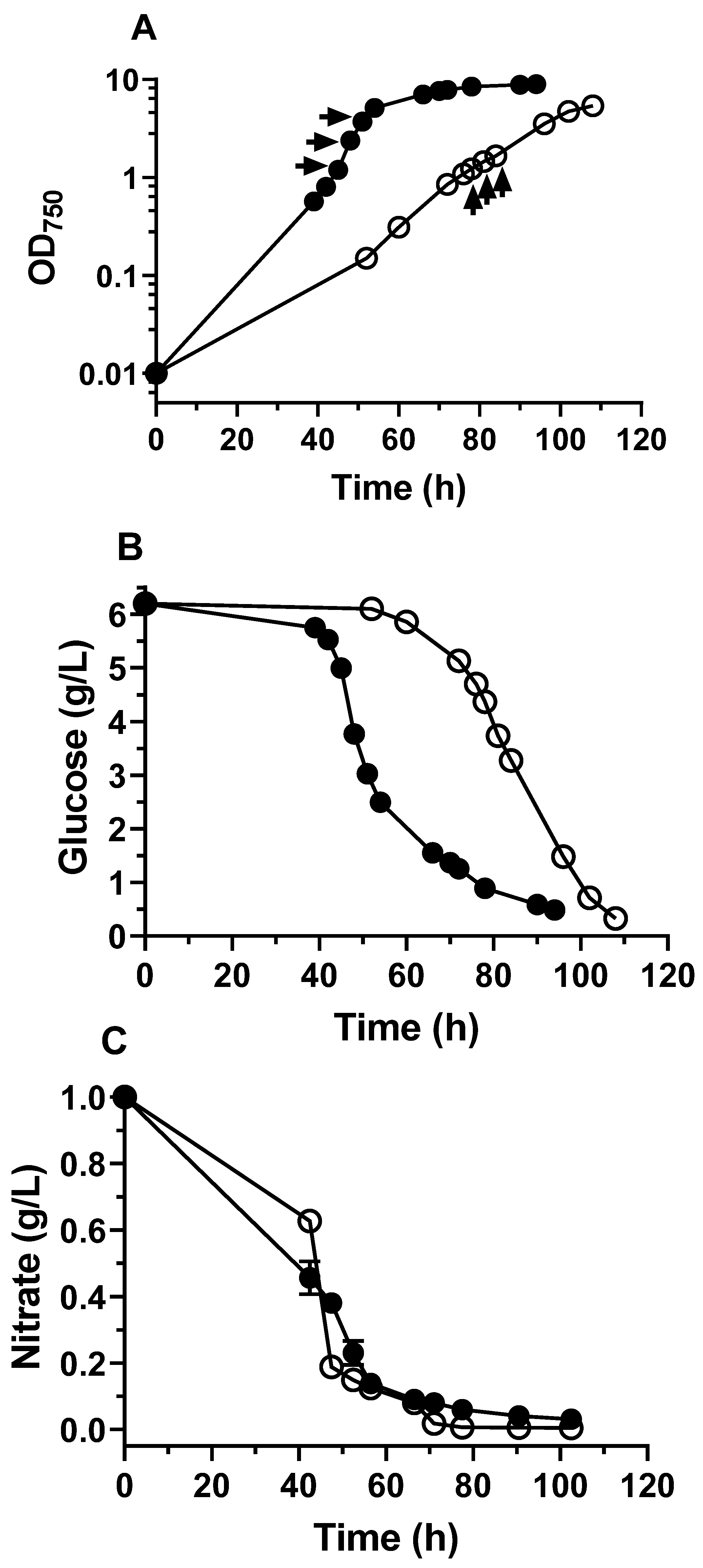 Biomolecules 12 00939 g001 550