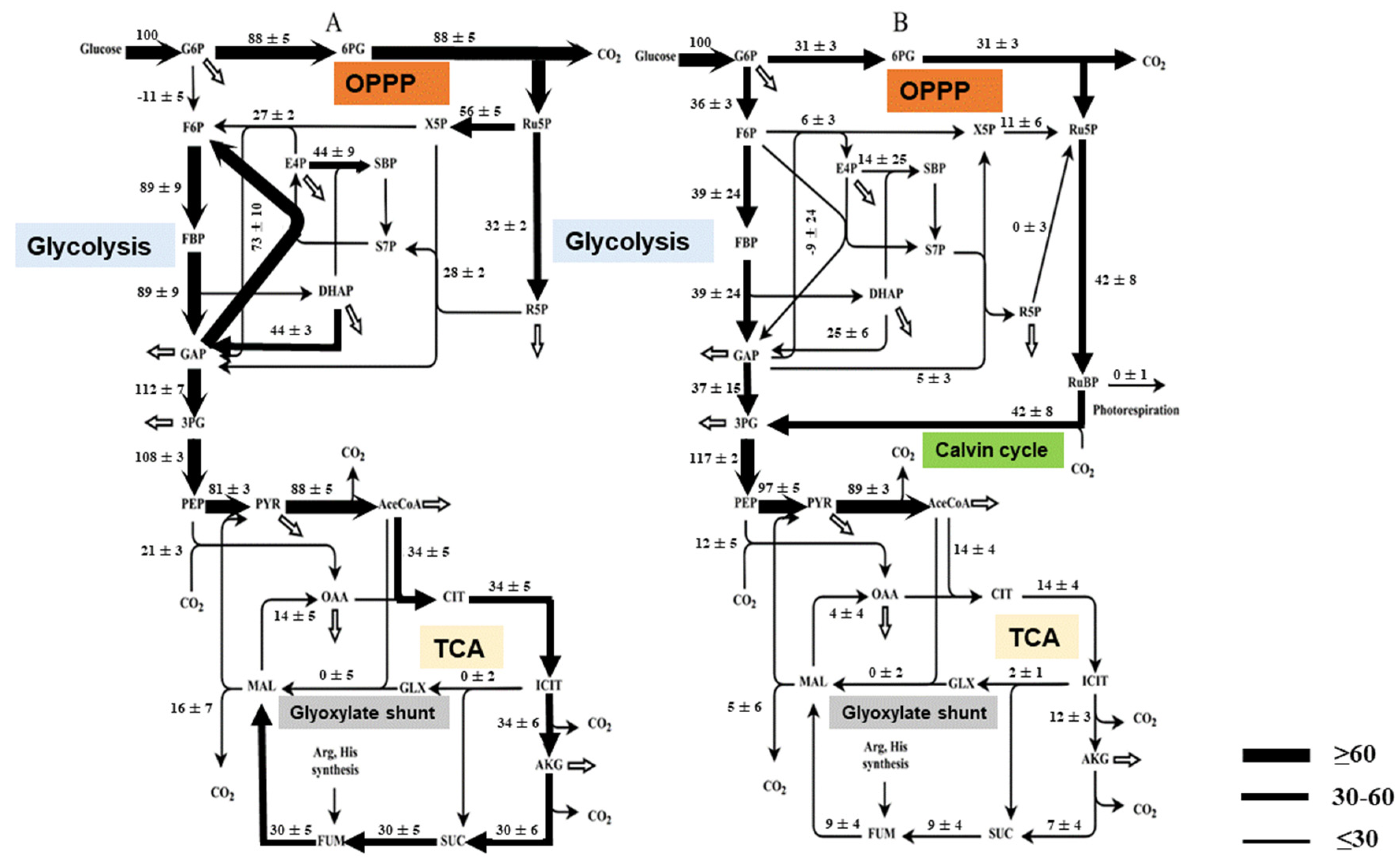 Biomolecules 12 00939 g003 550