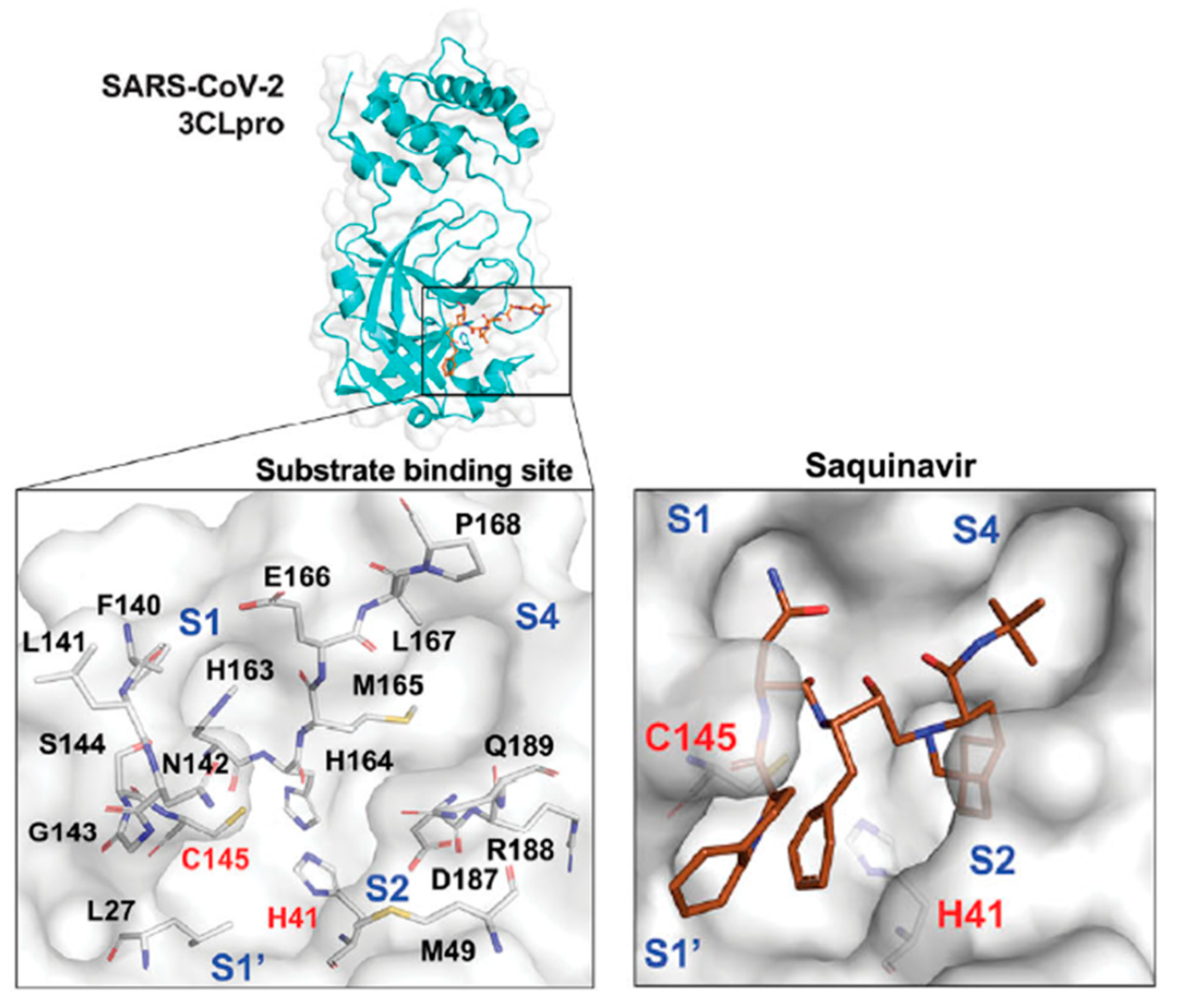 Biomolecules 12 00944 g003