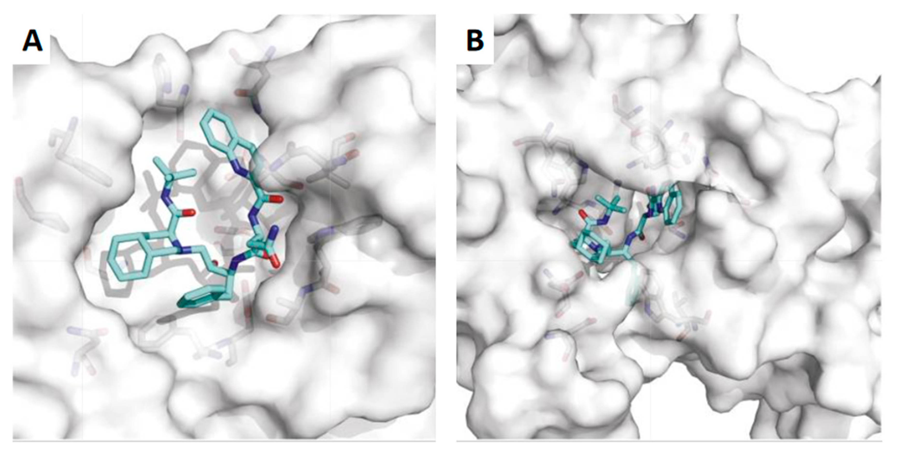 Biomolecules 12 00944 g004