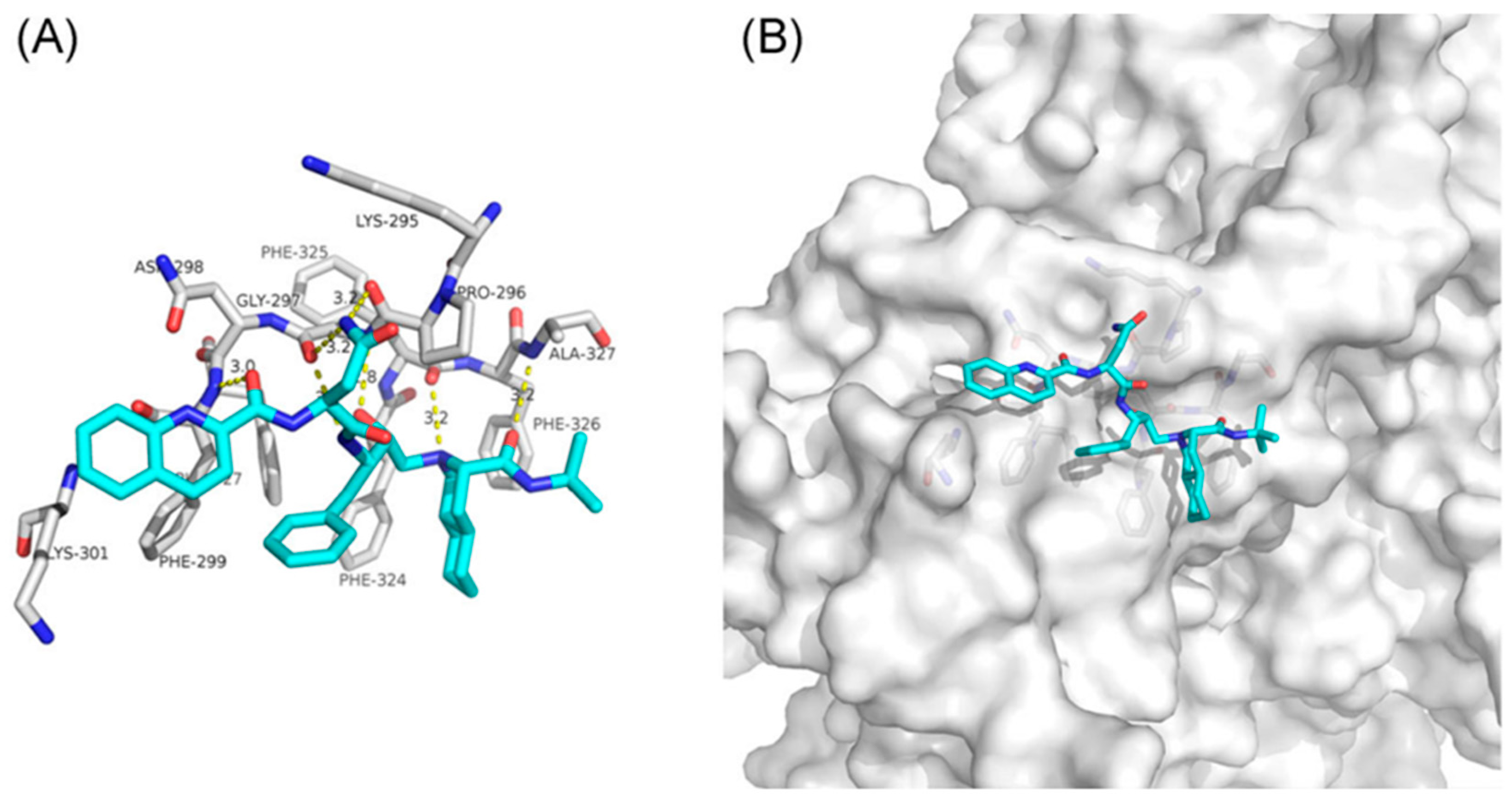 Biomolecules 12 00944 g005