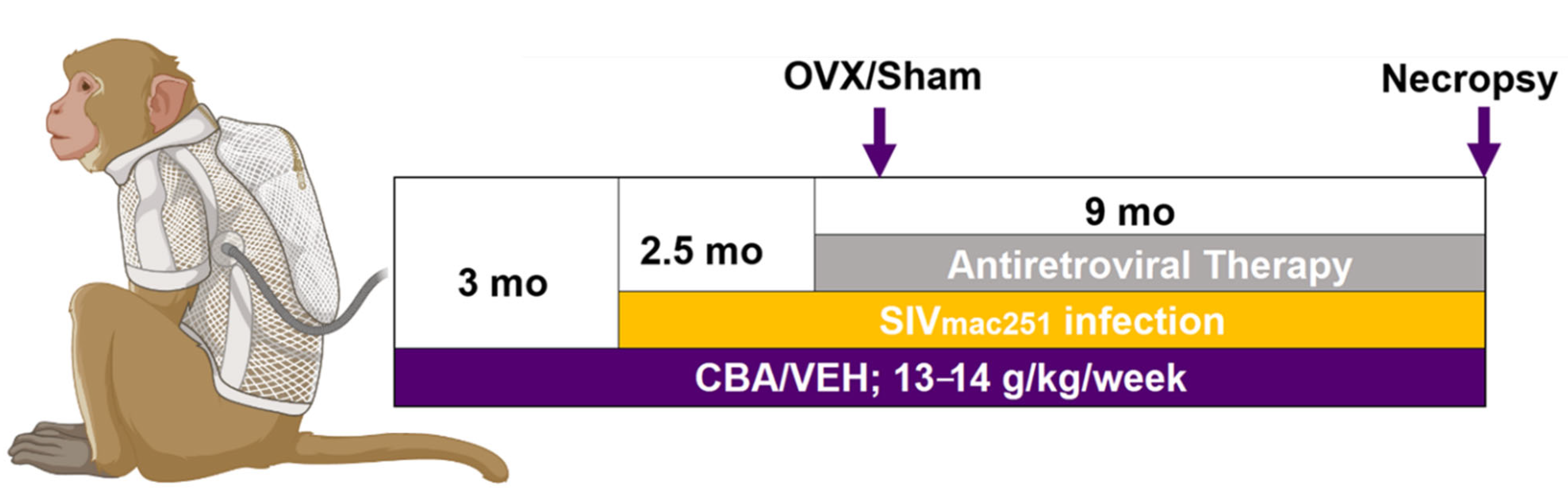 Biomolecules 12 00946 g001