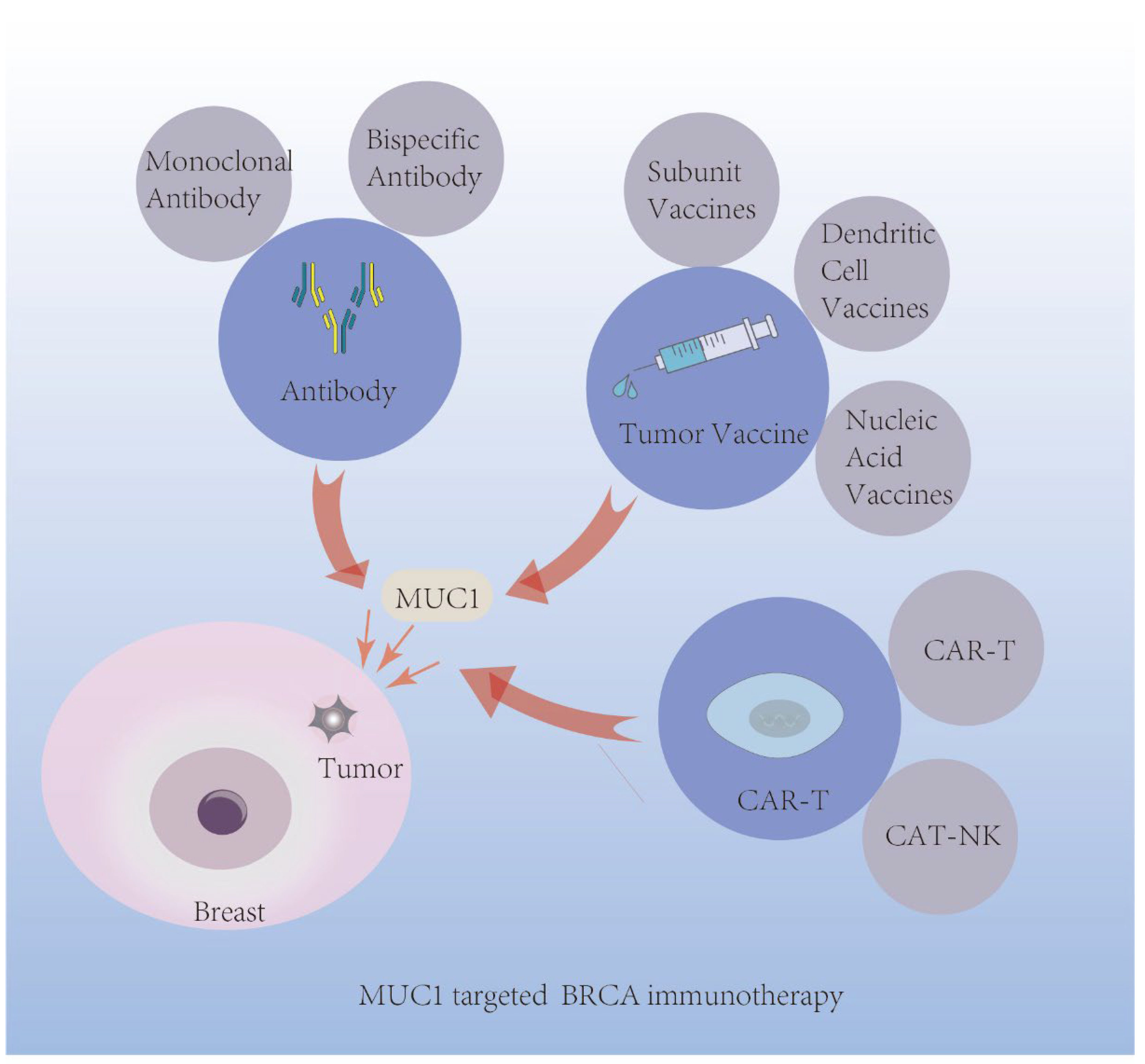 Biomolecules 12 00952 g004 Biomolecules 12 00952 g004