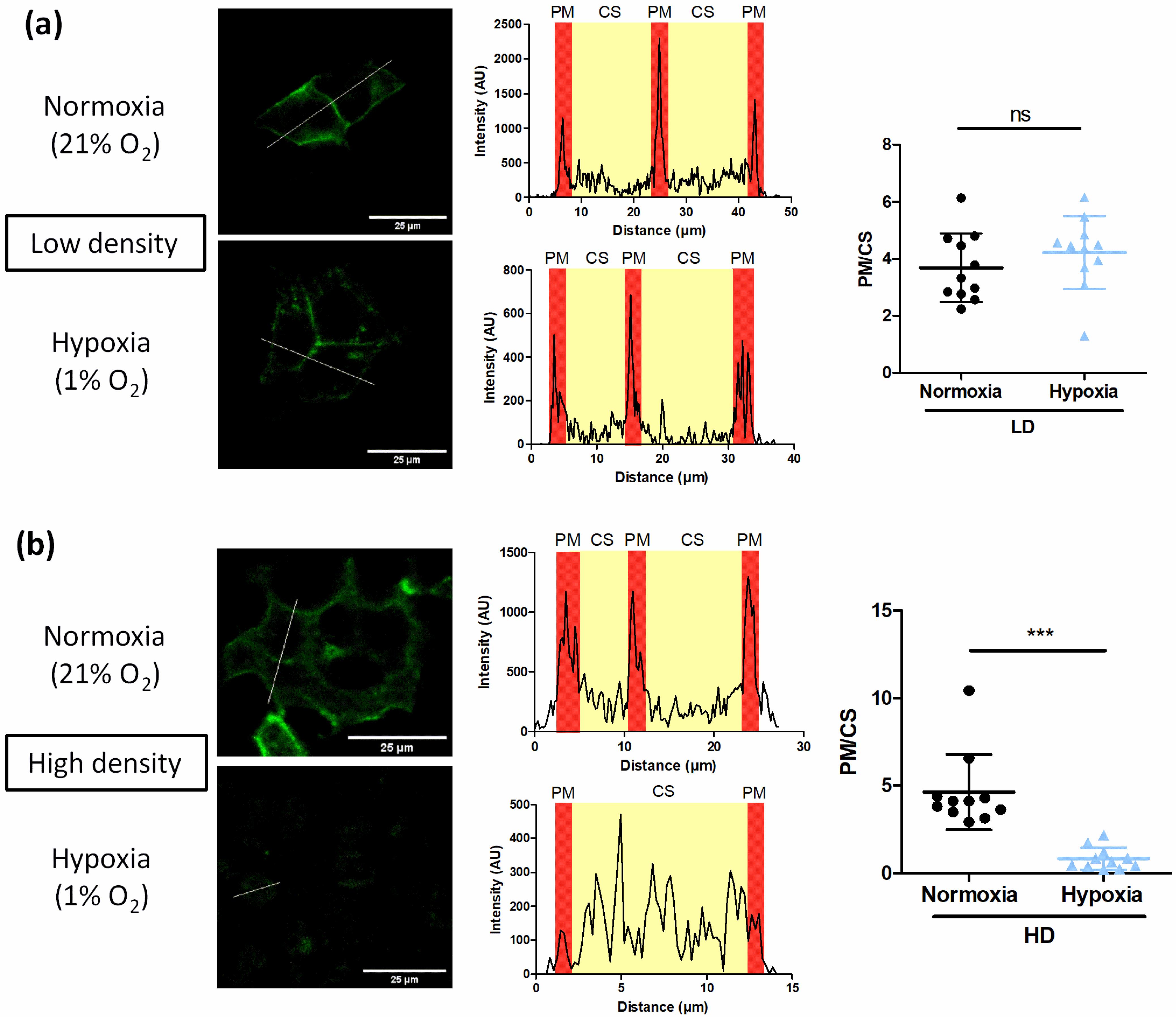 Biomolecules 12 00954 g006 550