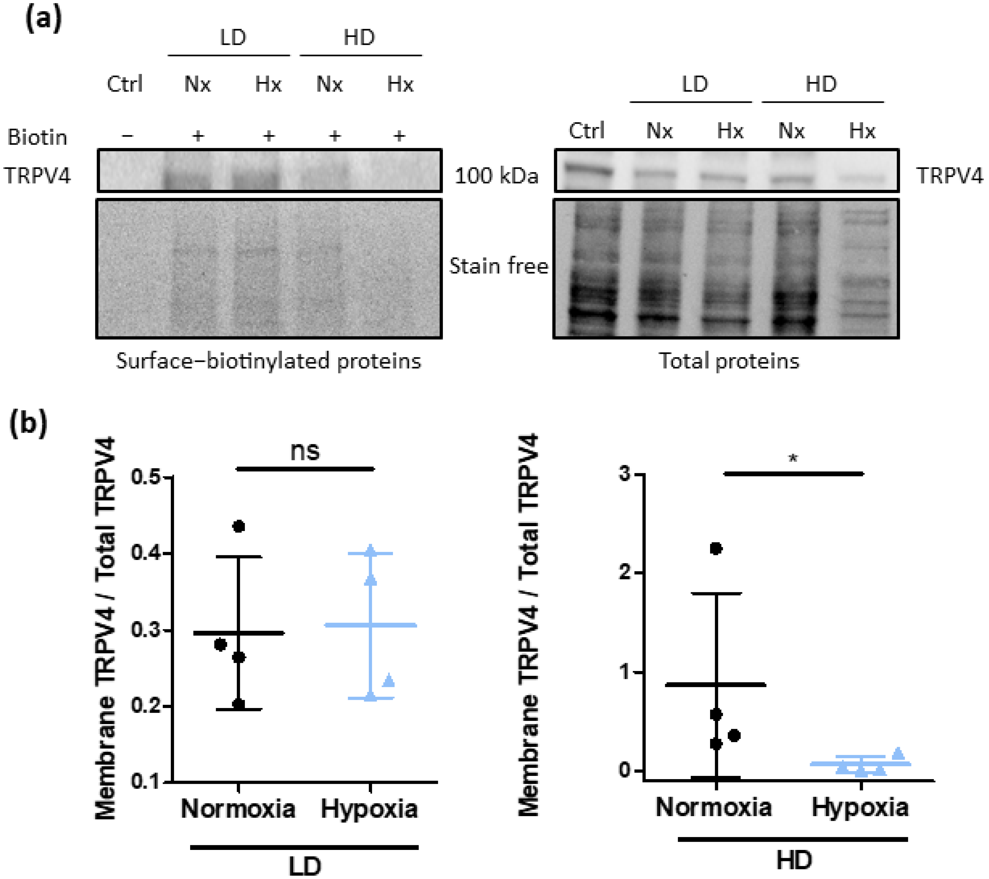 Biomolecules 12 00954 g007 550
