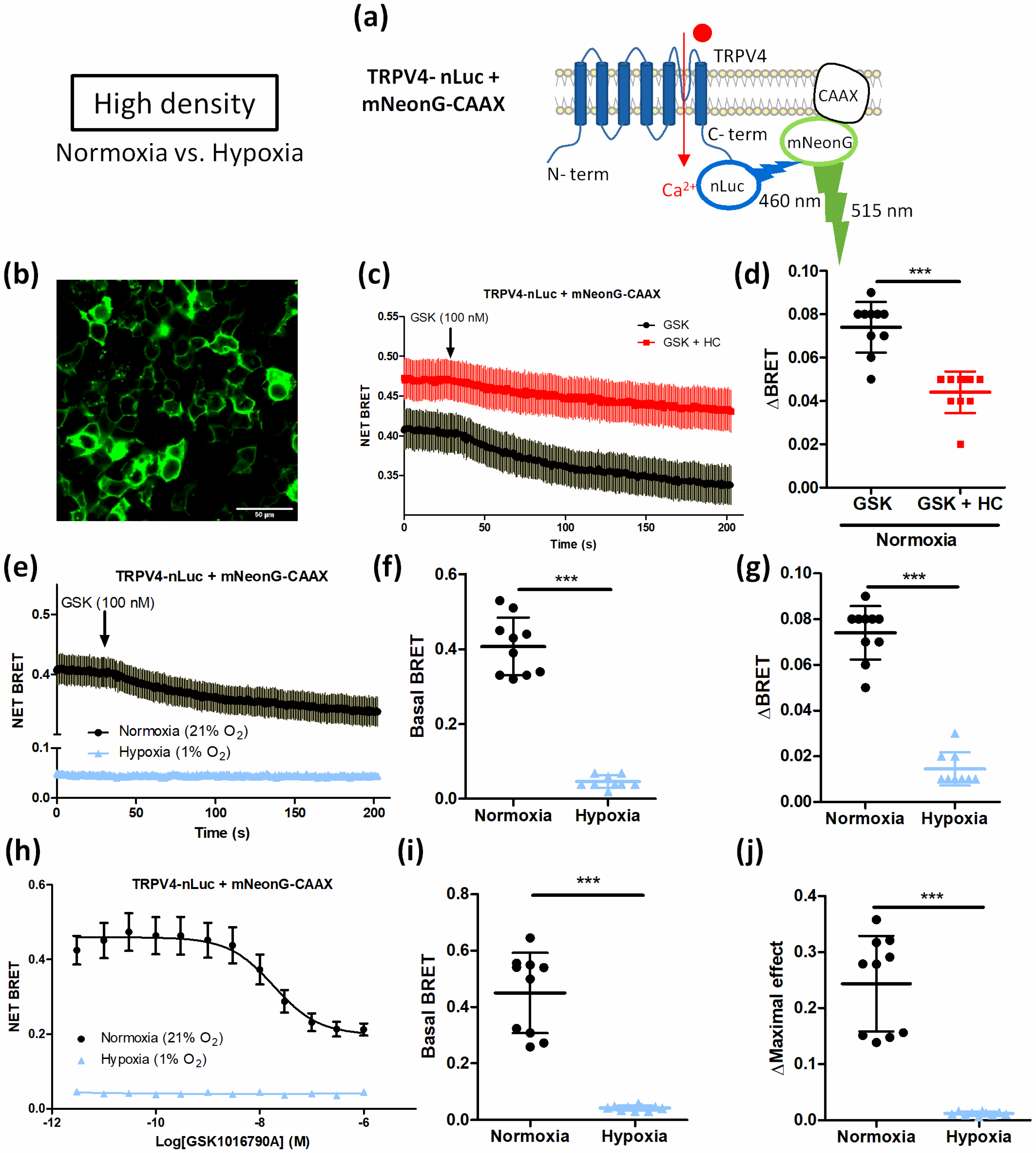 Biomolecules 12 00954 g008 550