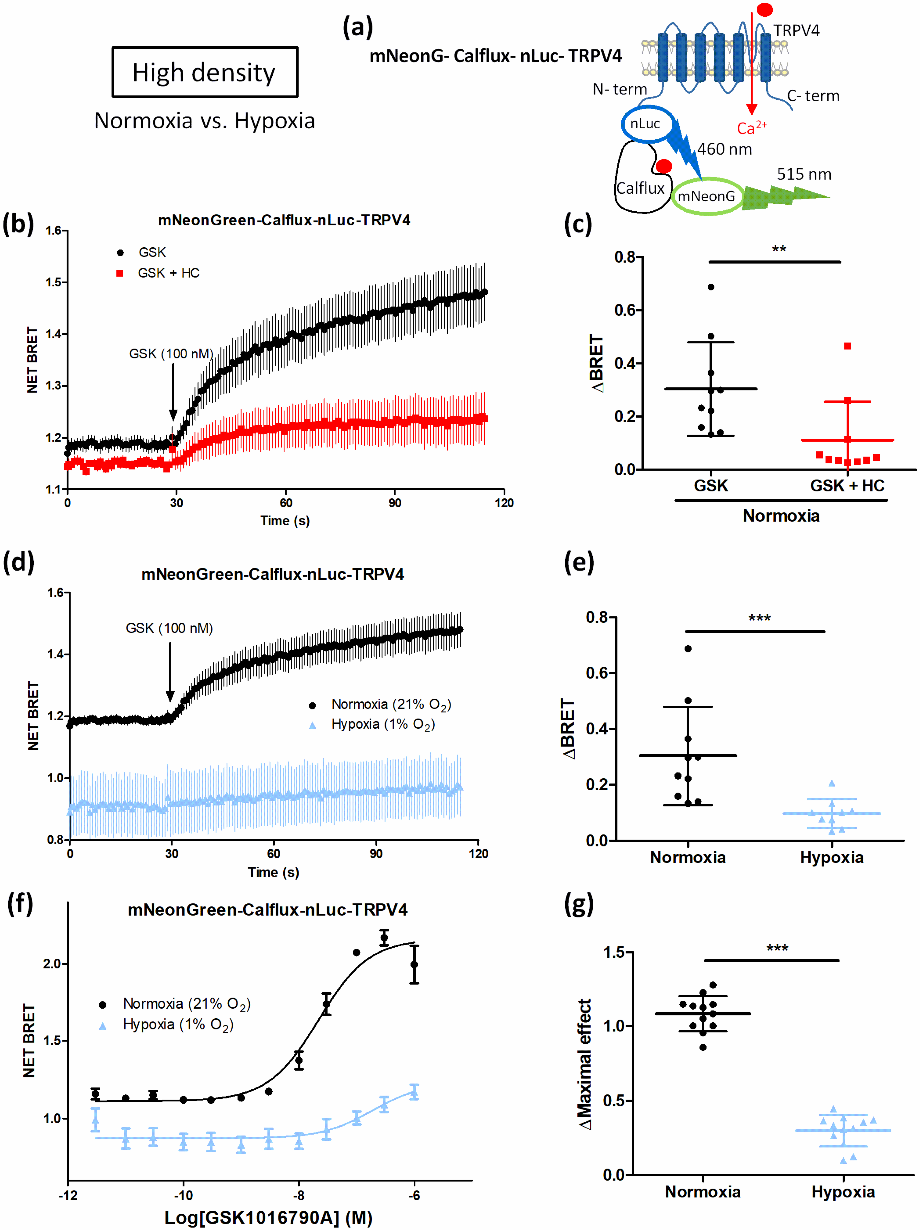 Biomolecules 12 00954 g009 550