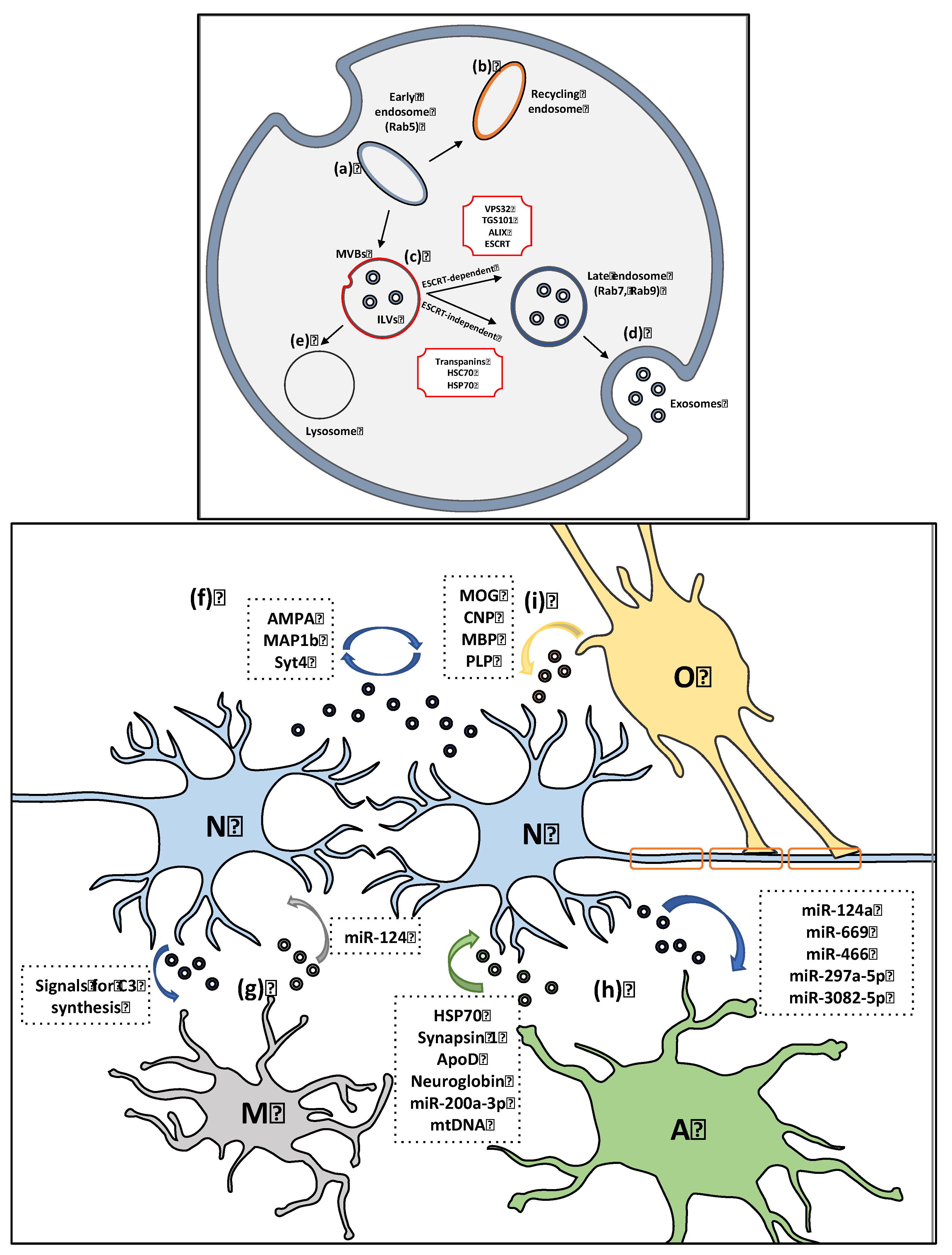 Biomolecules 12 00957 g001