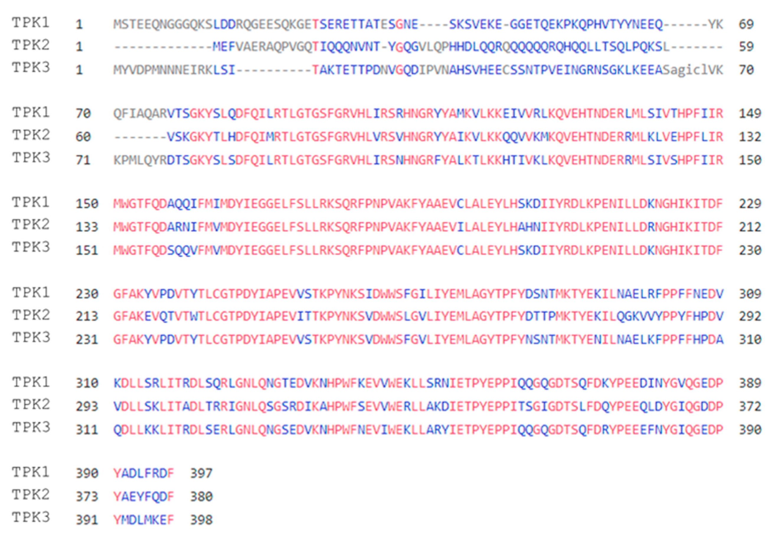 Biomolecules 12 00958 g002