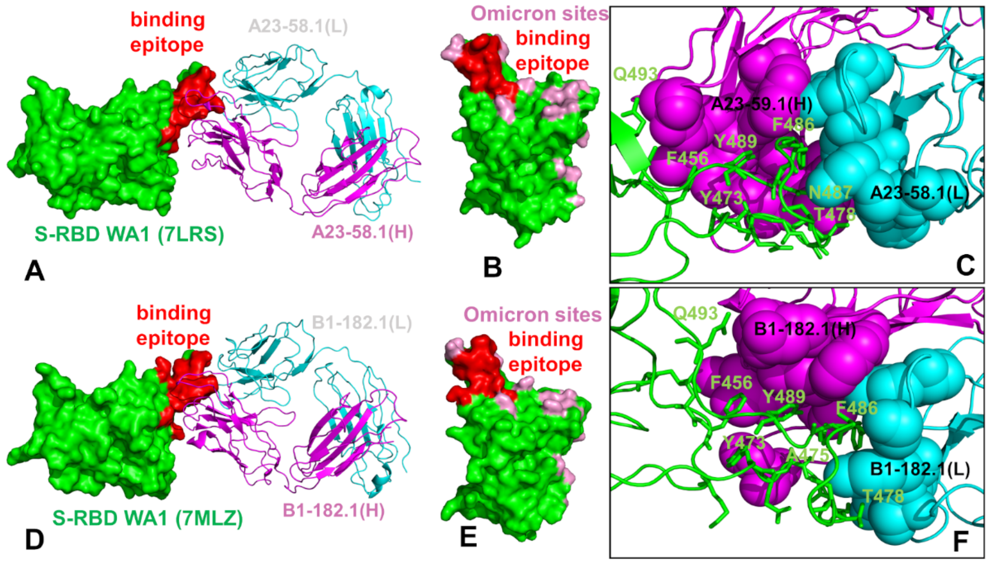 Biomolecules 12 00964 g001