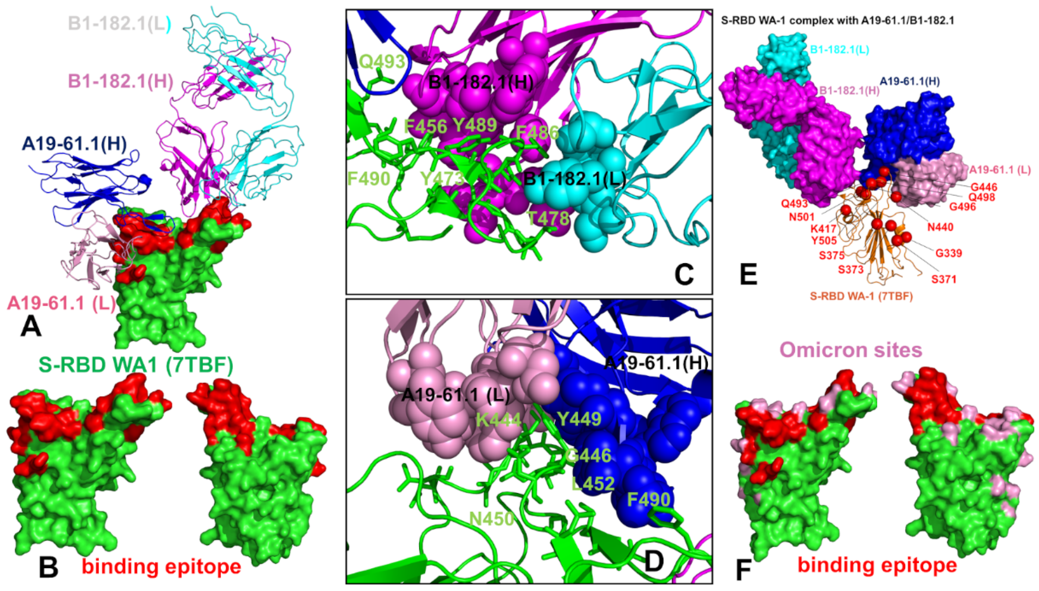 Biomolecules 12 00964 g002