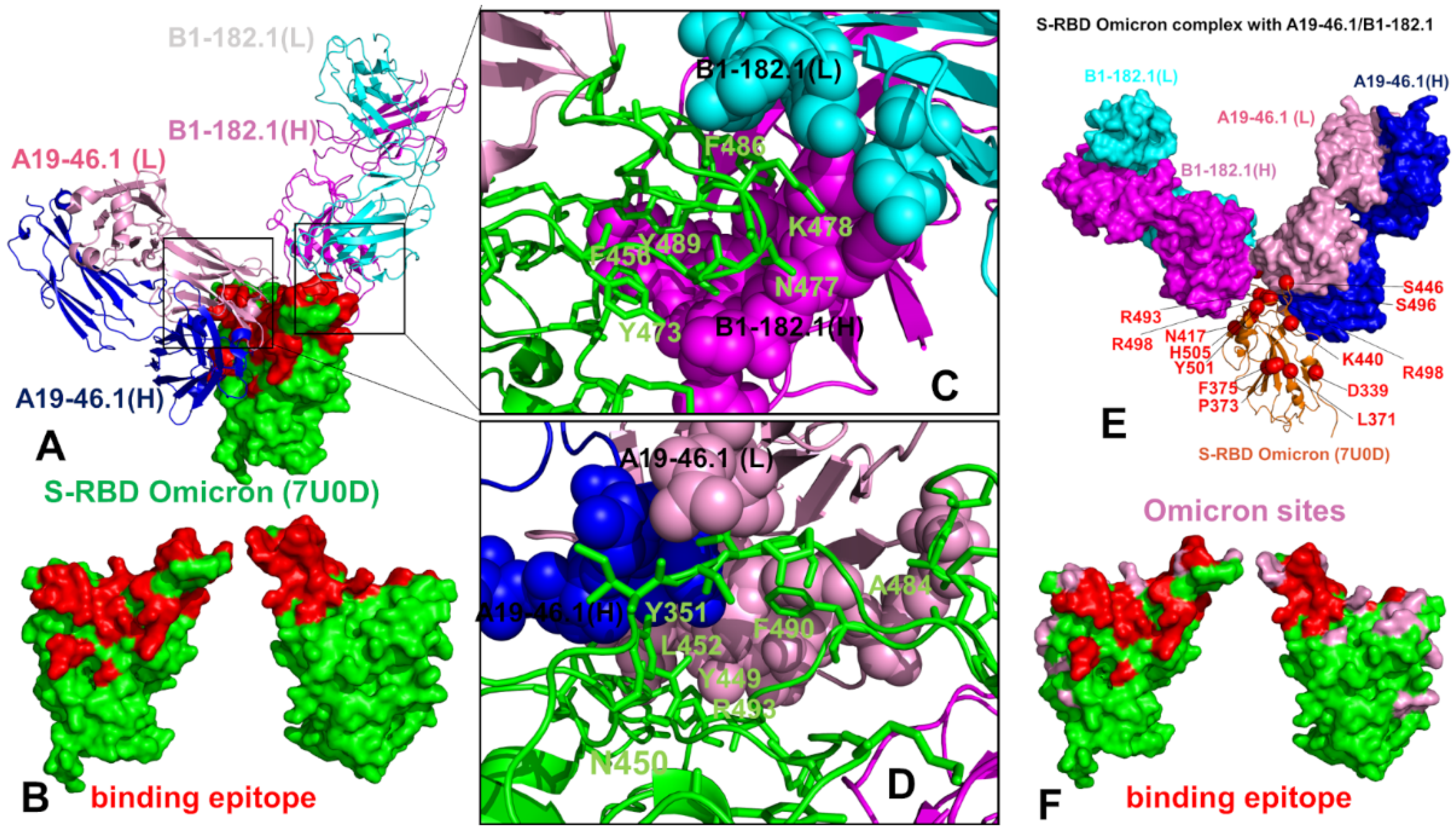 Biomolecules 12 00964 g003