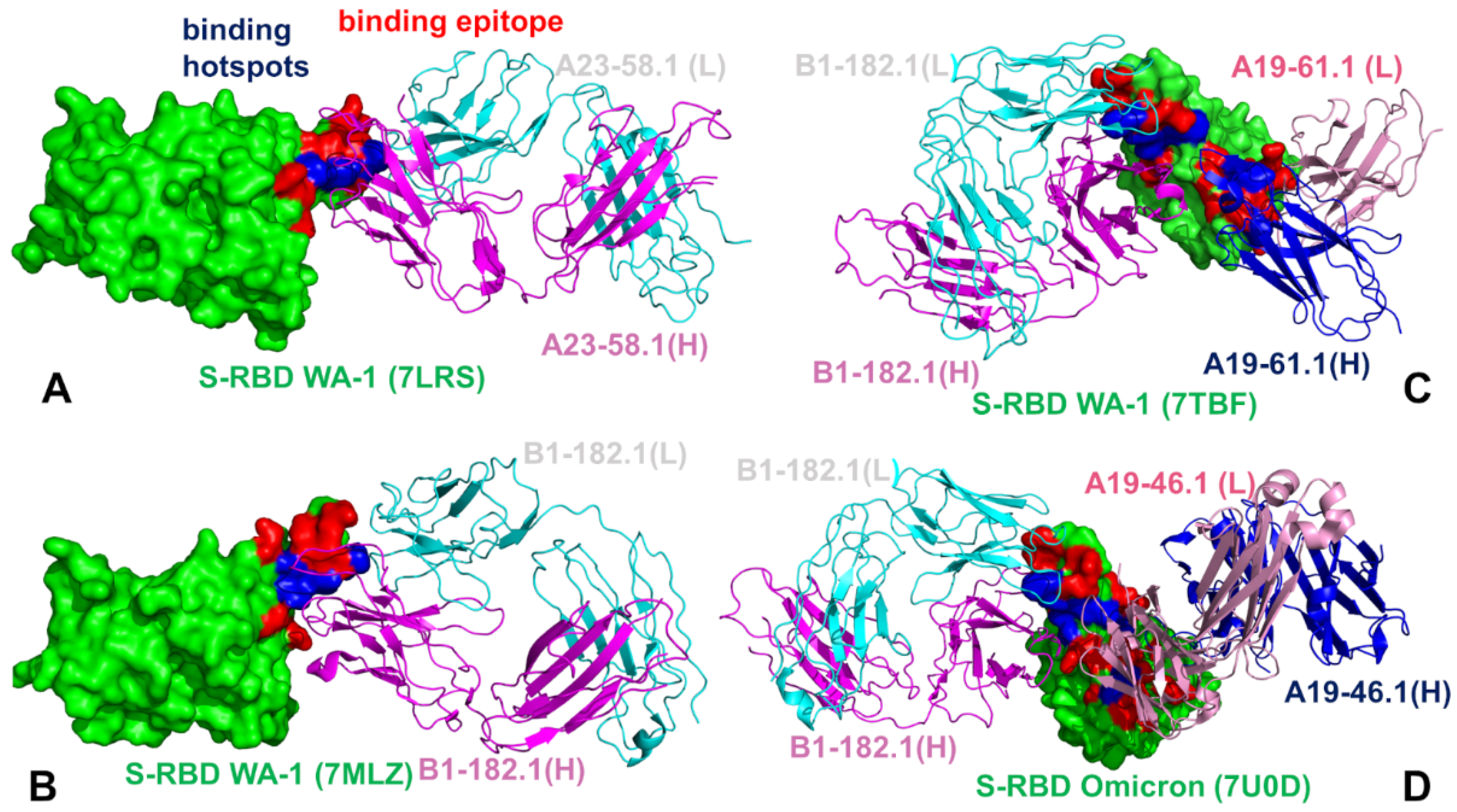 Biomolecules 12 00964 g008