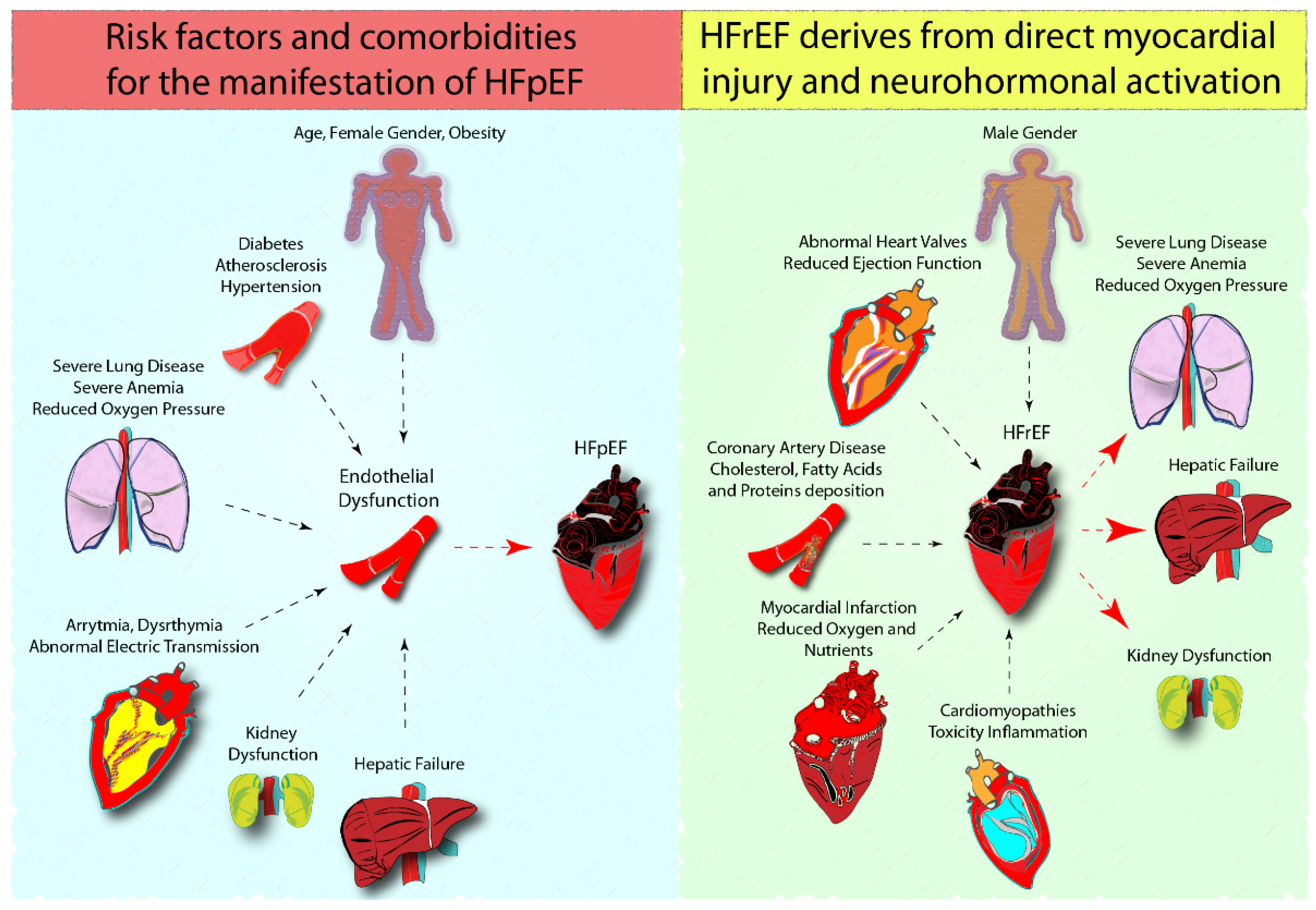 Biomolecules 12 00969 g001