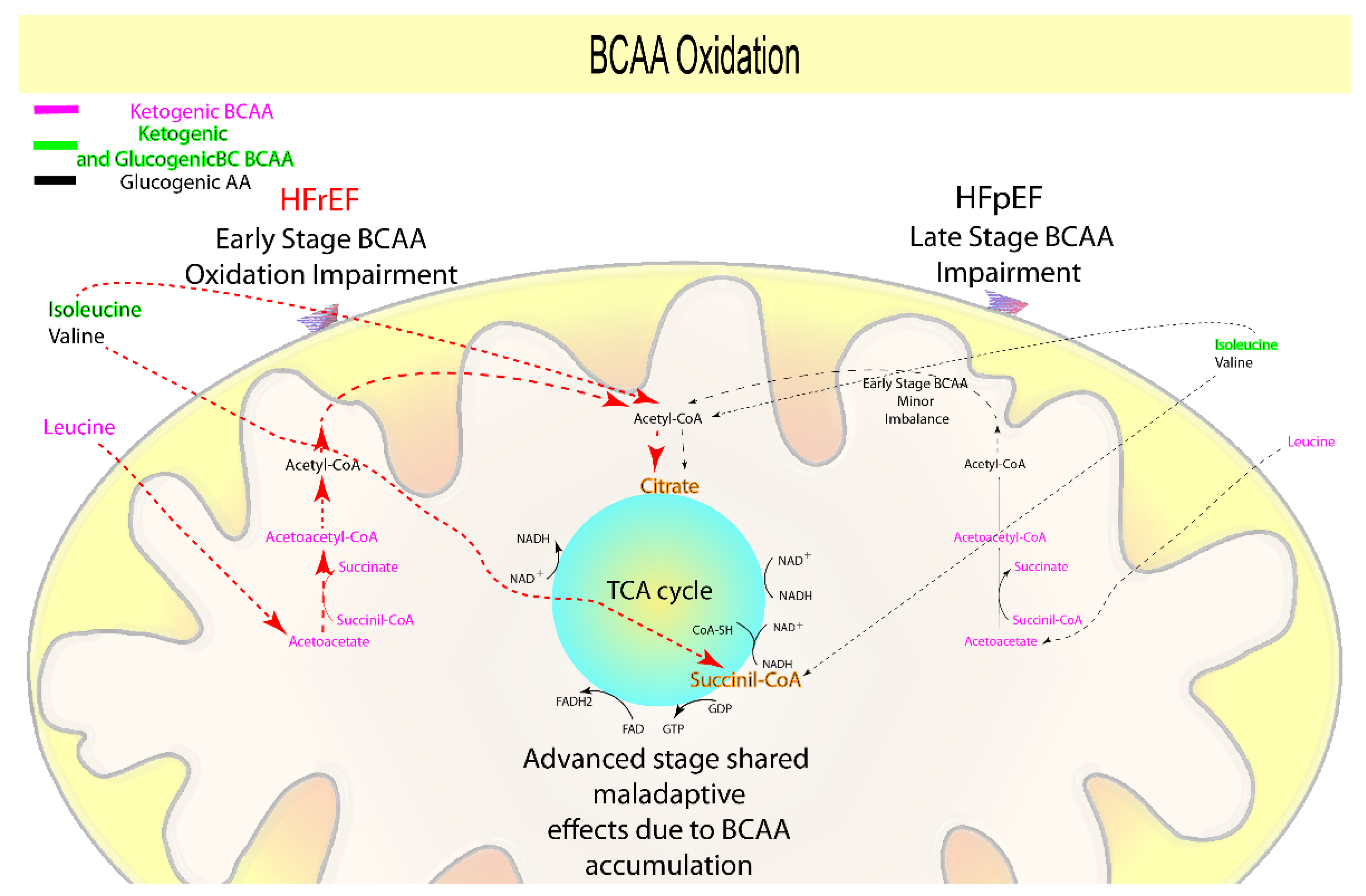 Biomolecules 12 00969 g004
