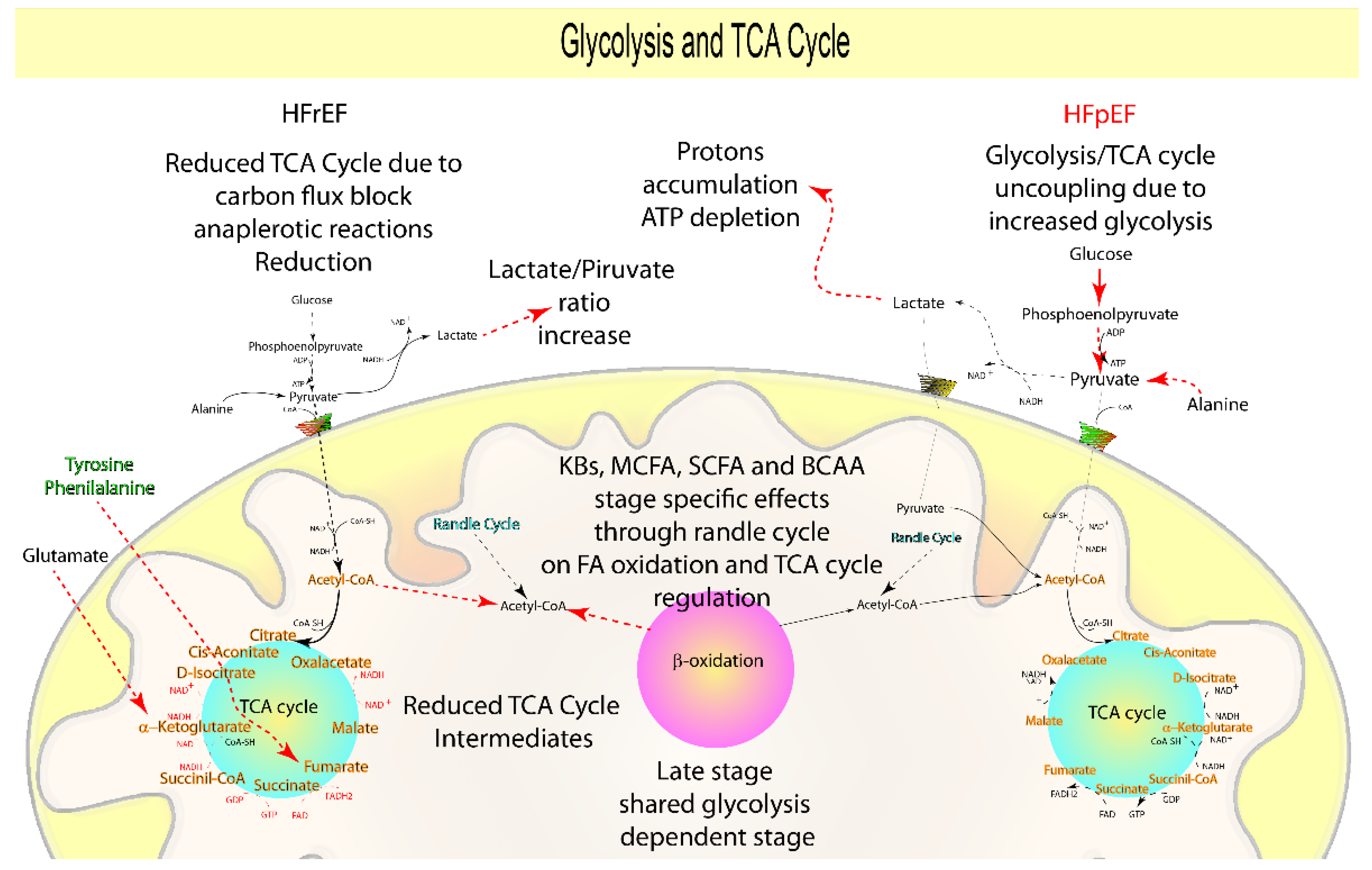 Biomolecules 12 00969 g005