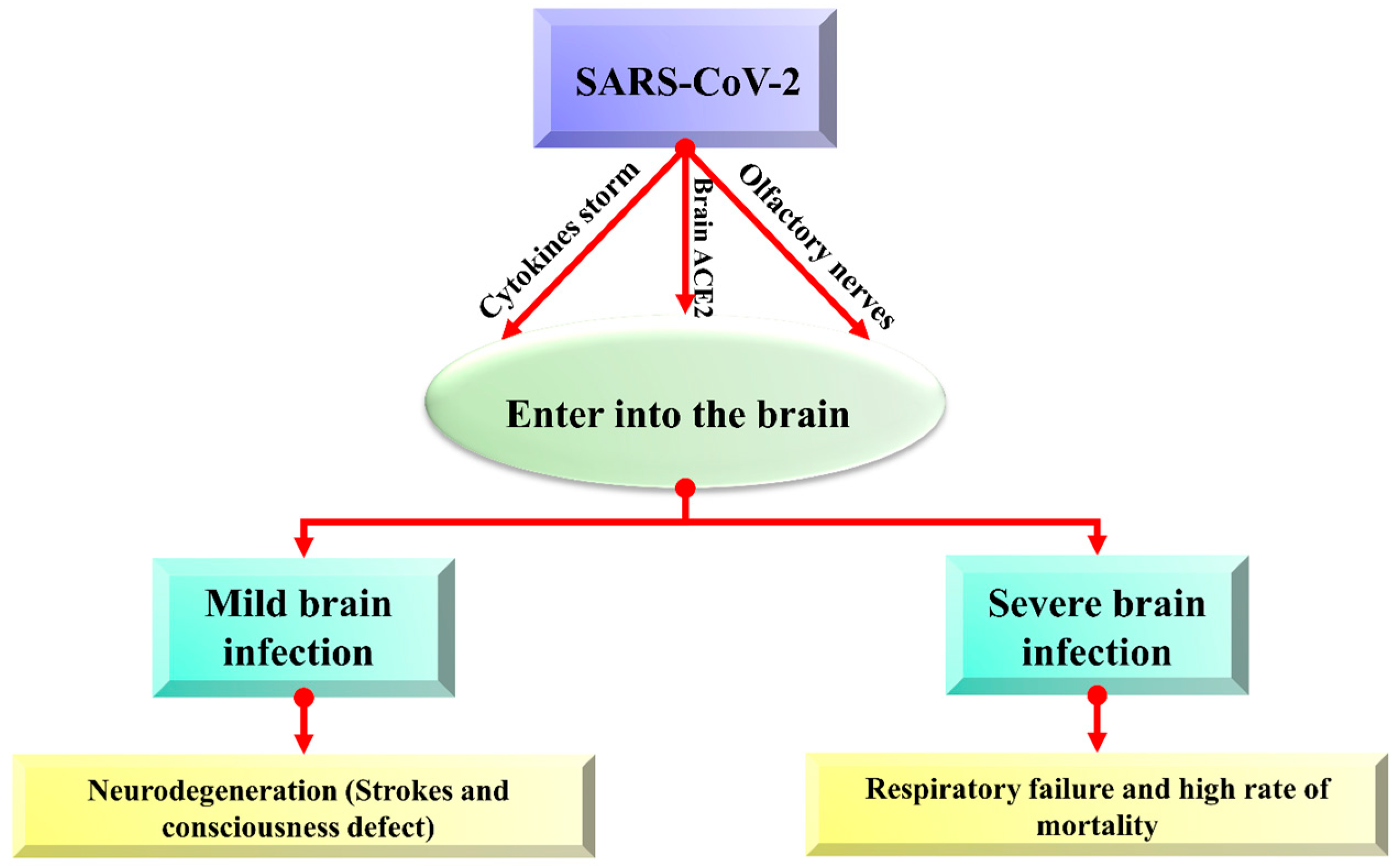 Biomolecules 12 00971 g002 550
