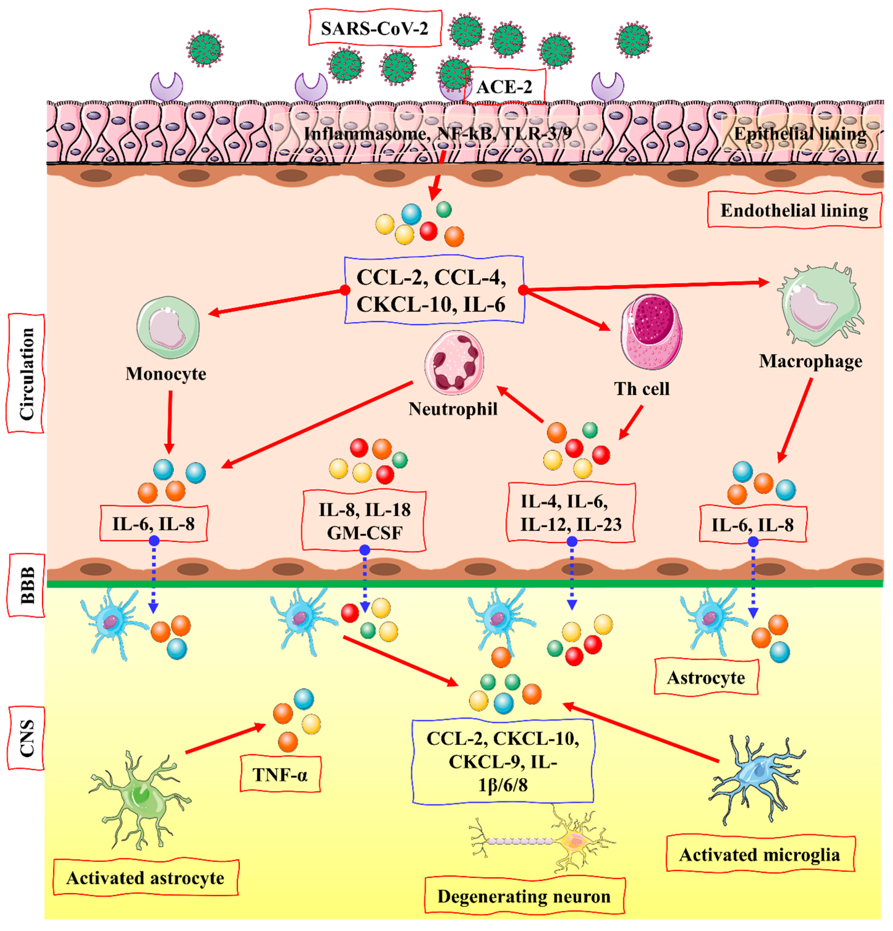 Biomolecules 12 00971 g003 550