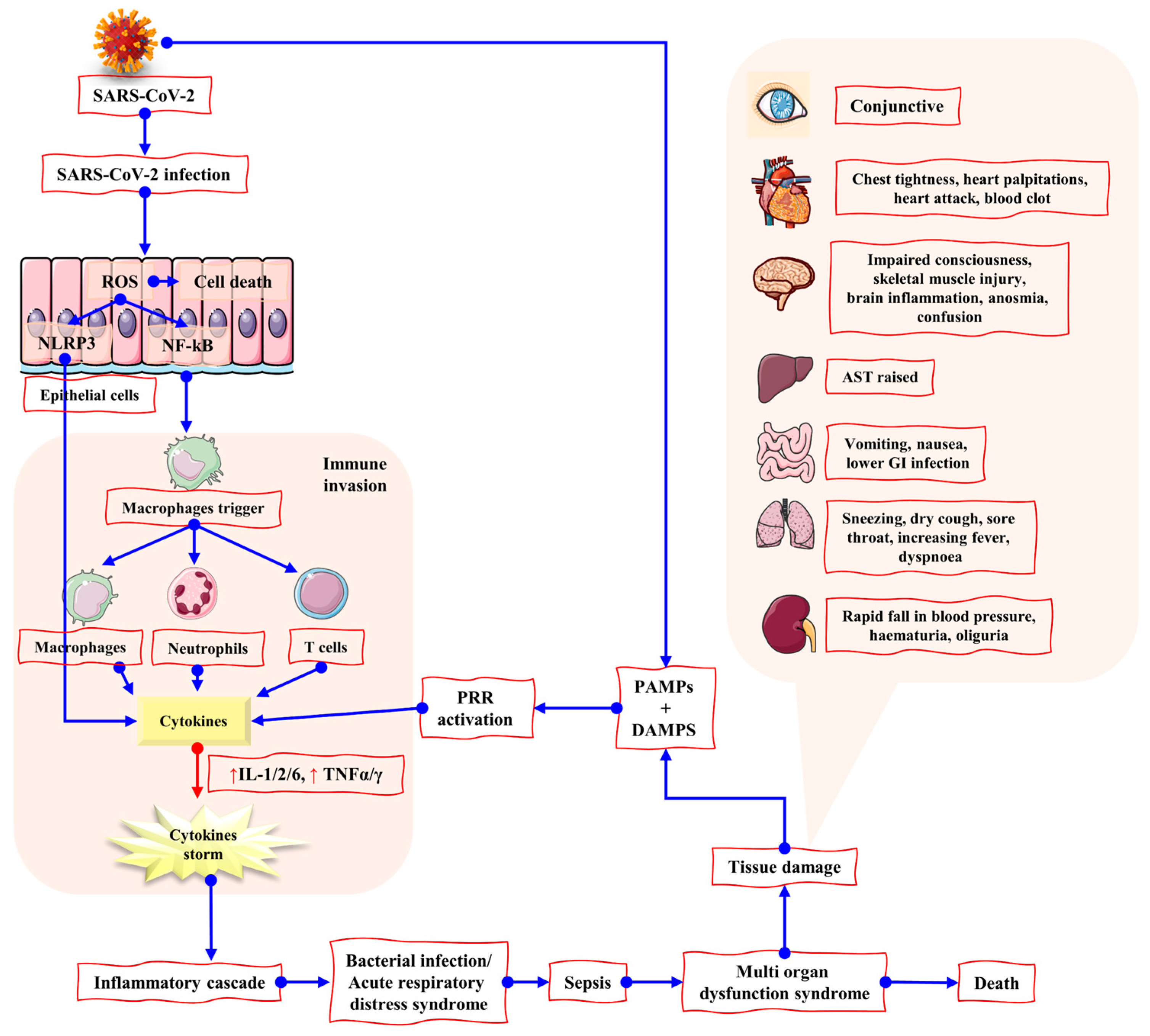 Biomolecules 12 00971 g005 550