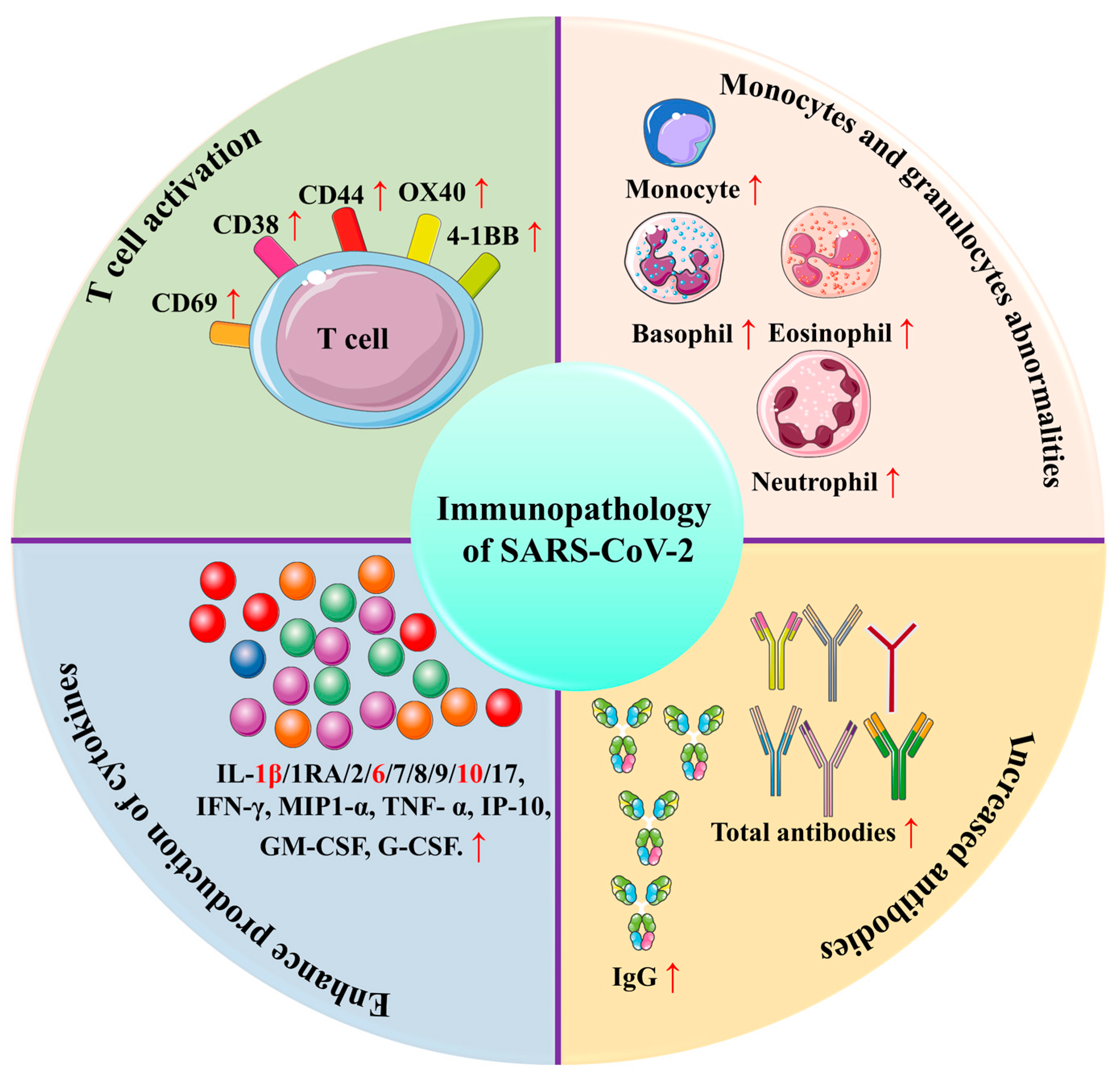 Biomolecules 12 00971 g006 550