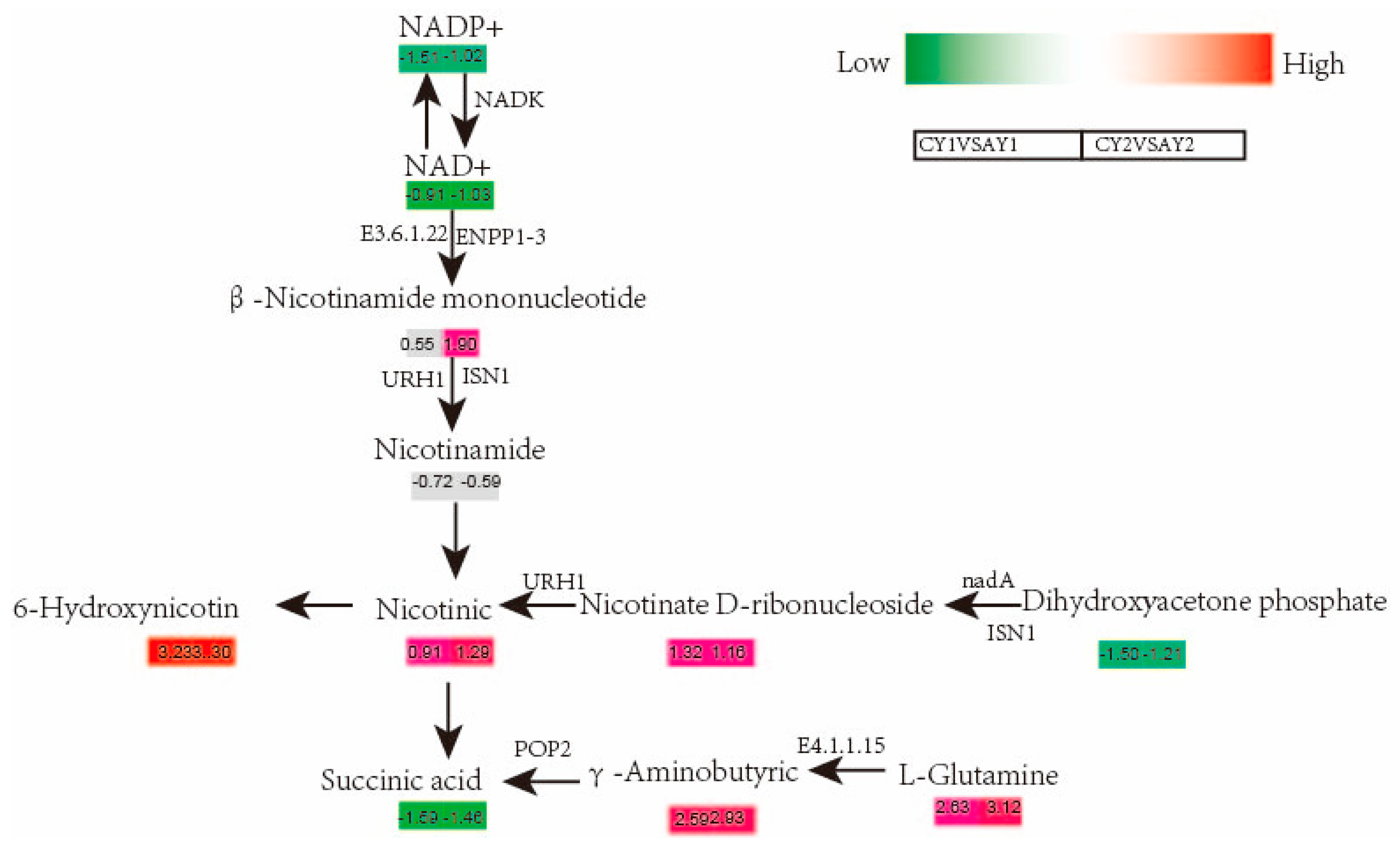 Biomolecules 12 00977 g005