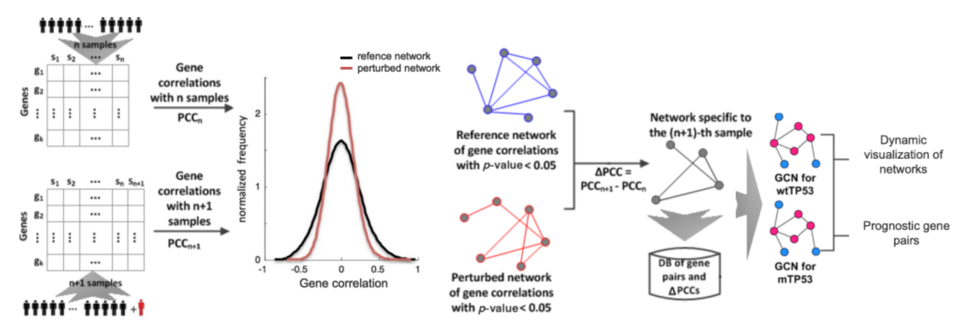 Biomolecules 12 00979 g001 Biomolecules 12 00979 g001