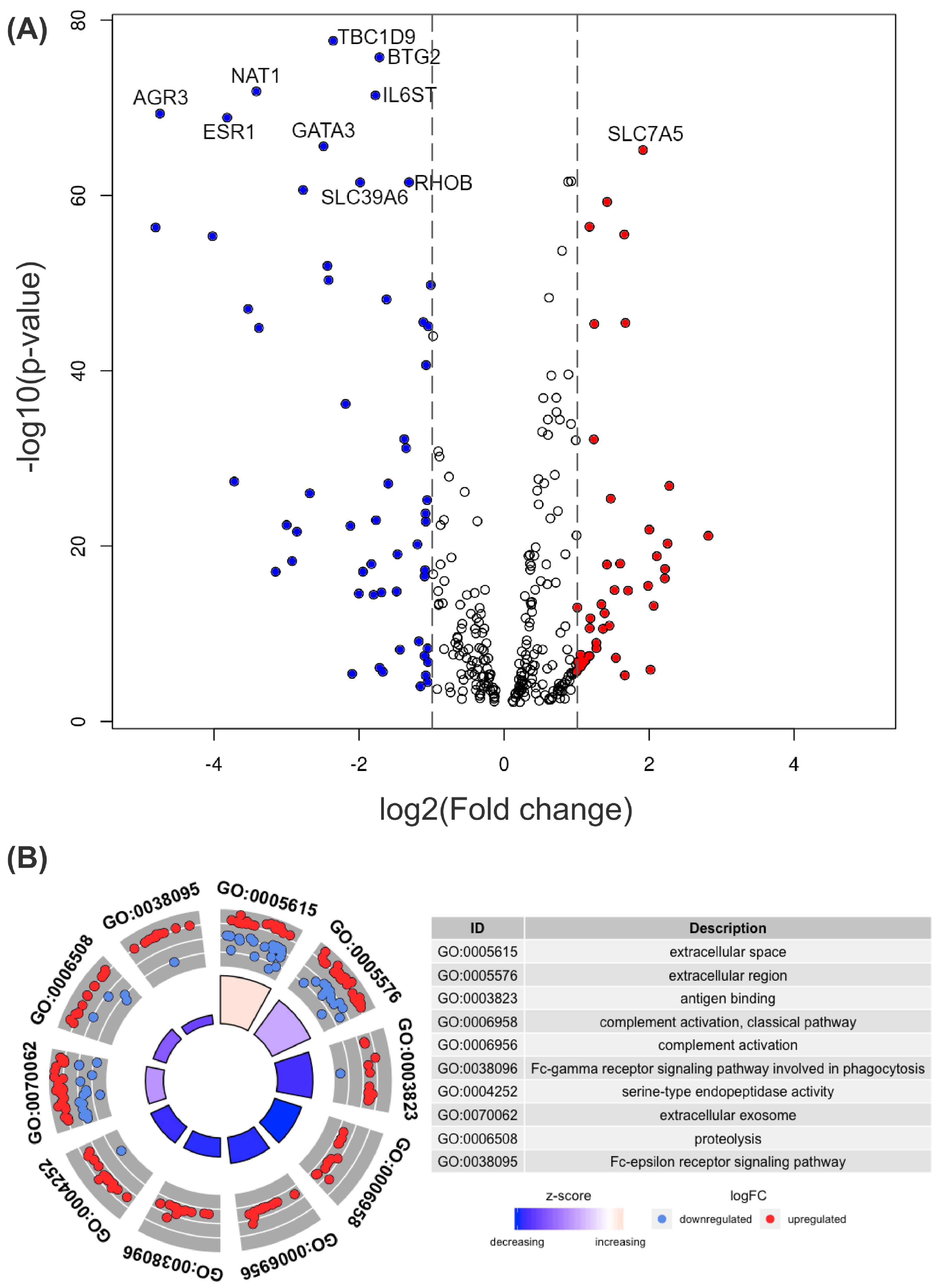 Biomolecules 12 00979 g002 Biomolecules 12 00979 g002