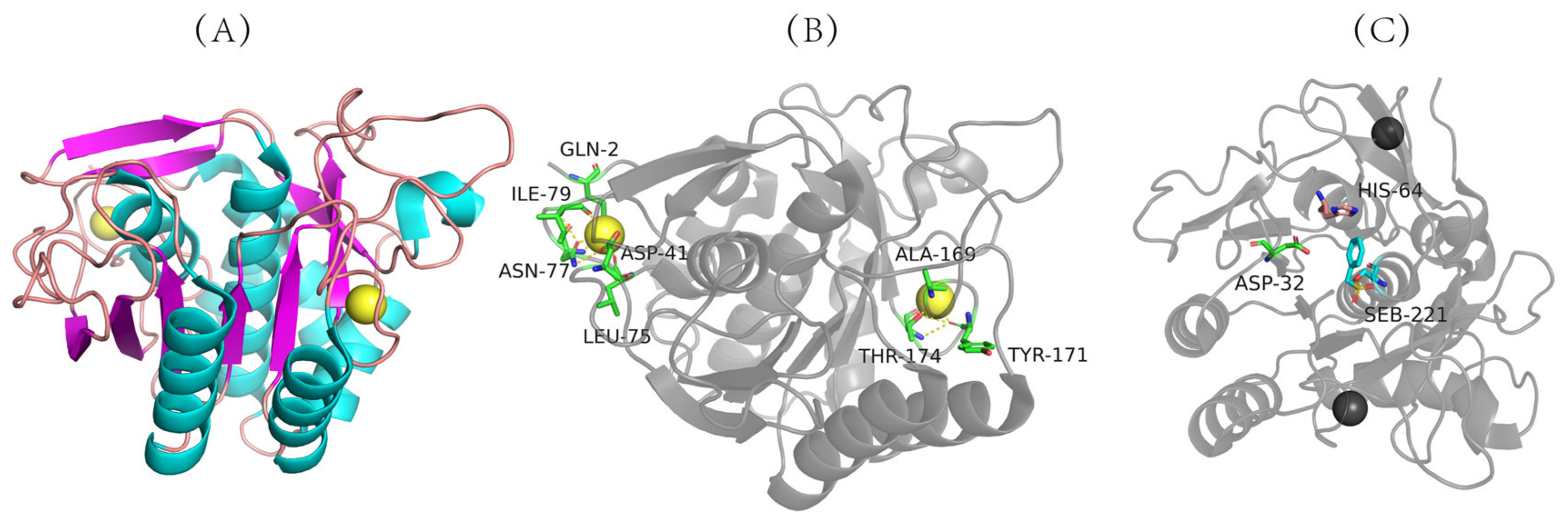 Biomolecules 12 00980 g002 Biomolecules 12 00980 g002