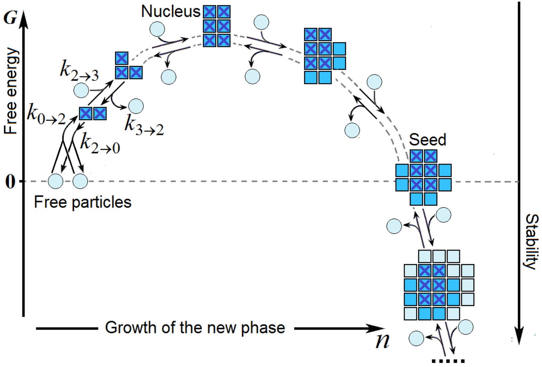 Biomolecules 12 00981 g002 Biomolecules 12 00981 g002