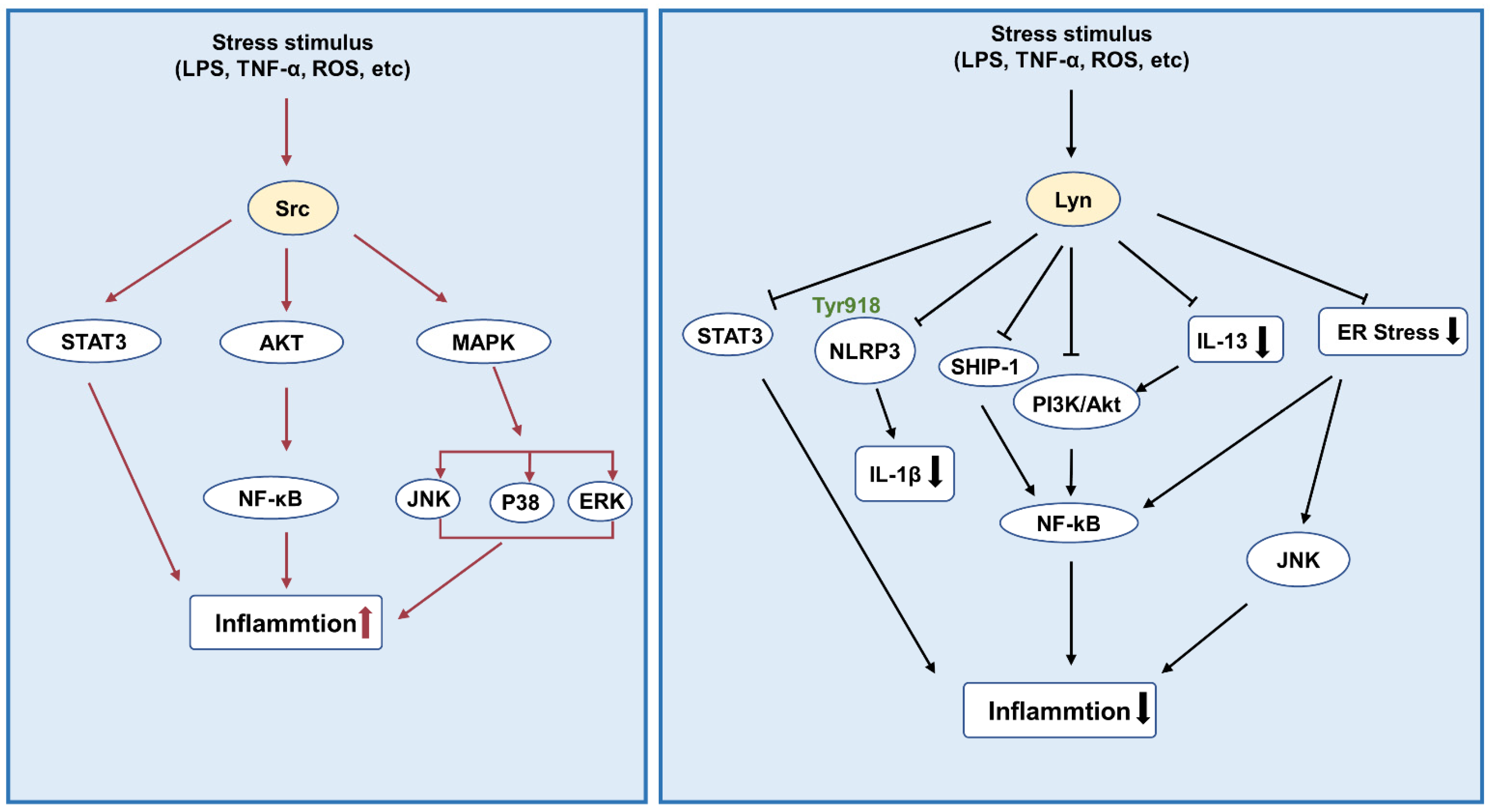 Biomolecules 12 00984 g002 Biomolecules 12 00984 g002