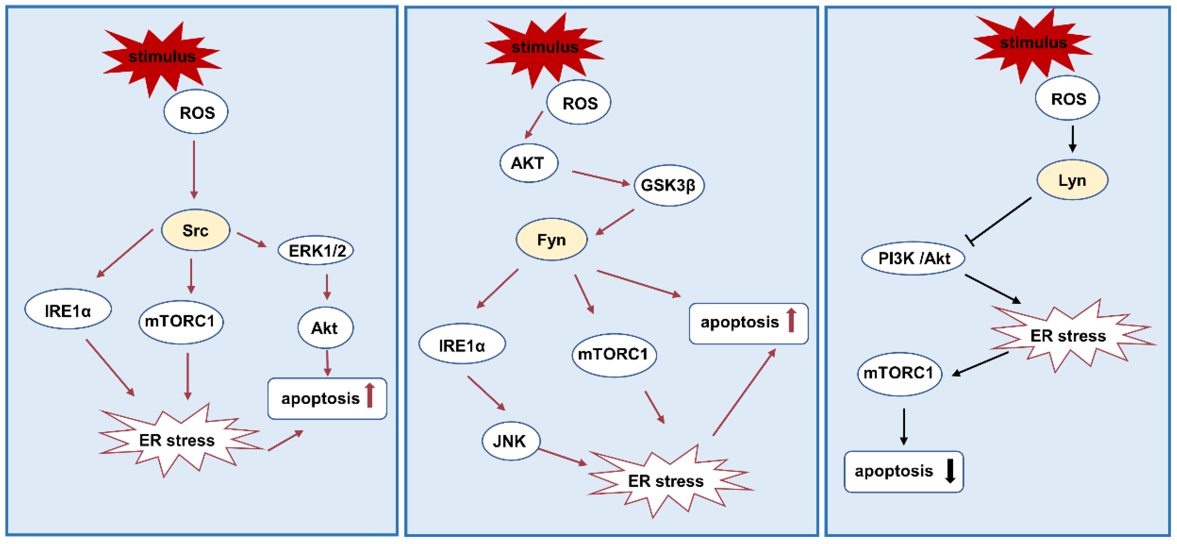 Biomolecules 12 00984 g004 Biomolecules 12 00984 g004