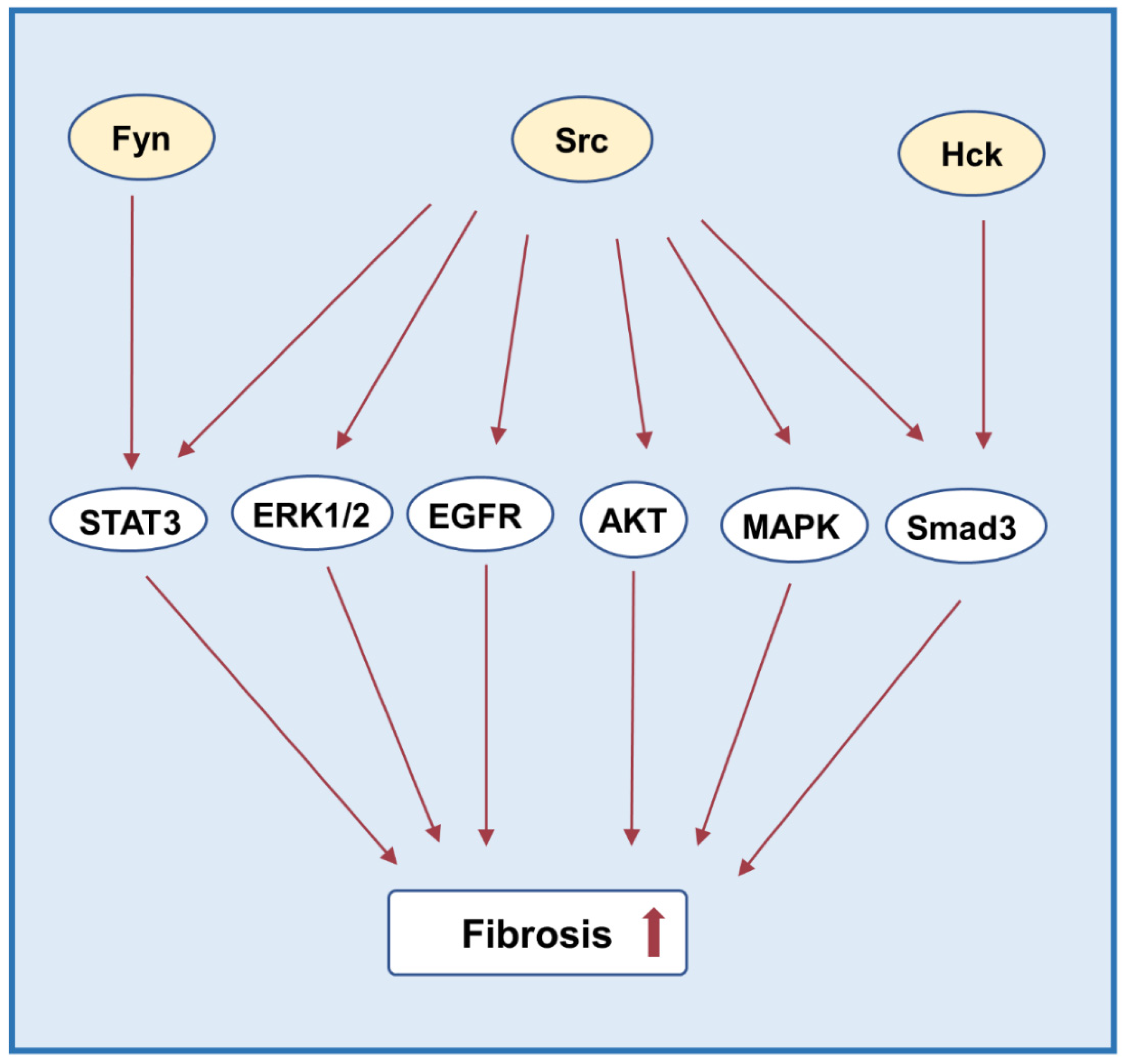 Biomolecules 12 00984 g006 Biomolecules 12 00984 g006