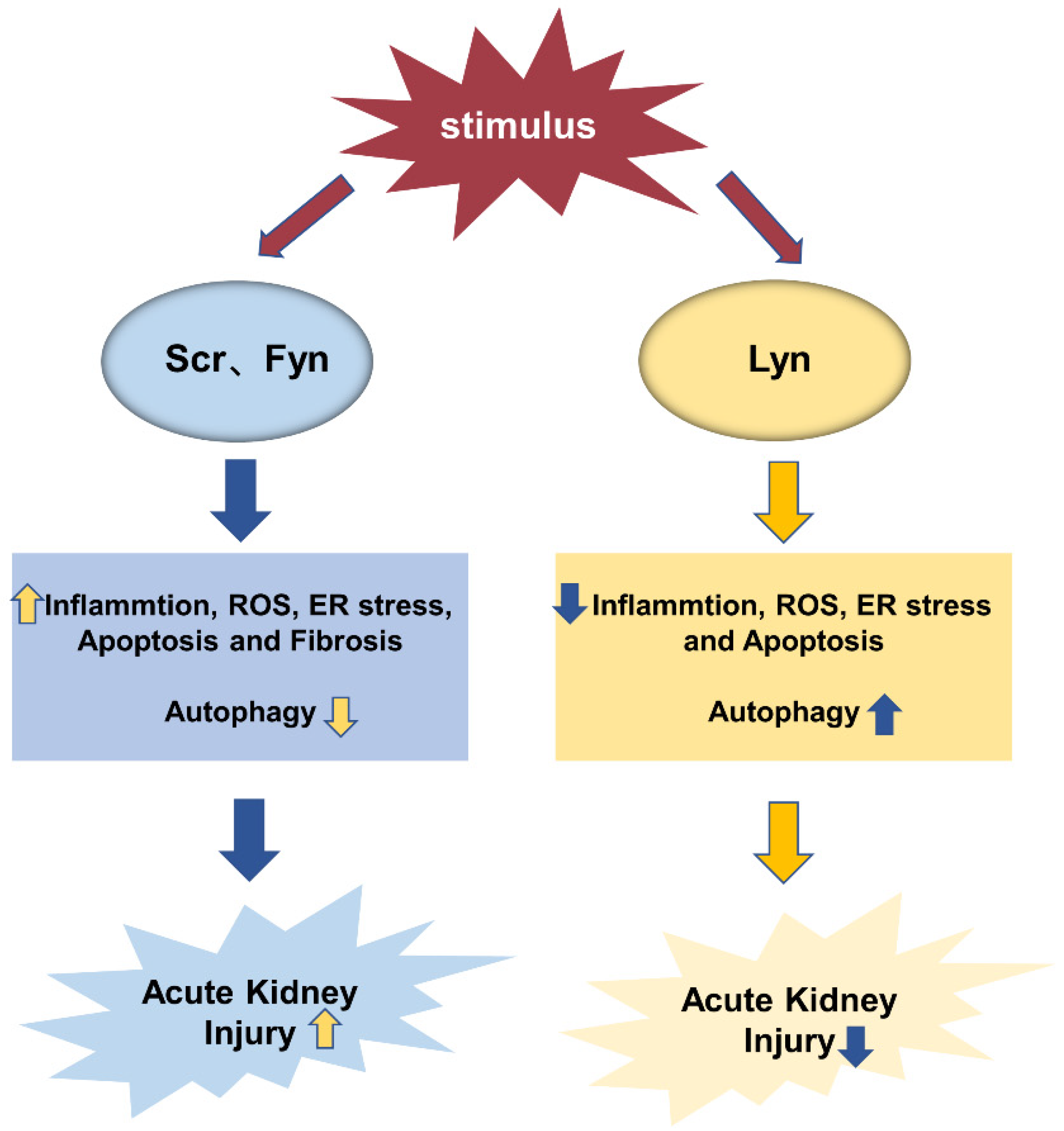 Biomolecules 12 00984 g007 Biomolecules 12 00984 g007
