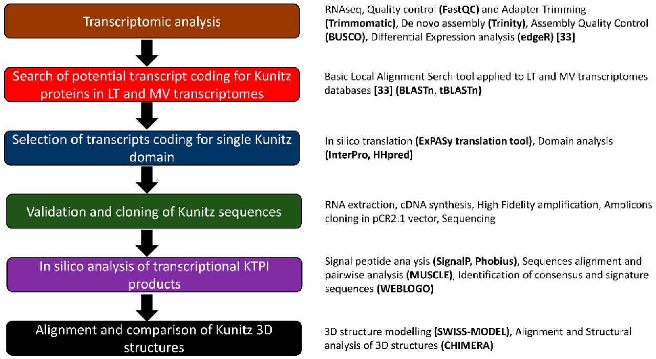 Biomolecules 12 00988 g002 Biomolecules 12 00988 g002