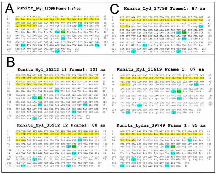 Biomolecules 12 00988 g005 Biomolecules 12 00988 g005