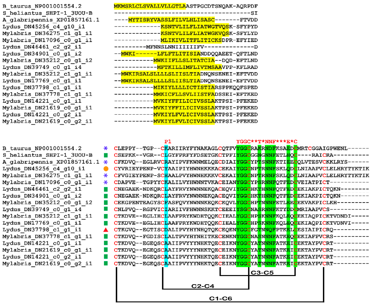 Biomolecules 12 00988 g007 Biomolecules 12 00988 g007