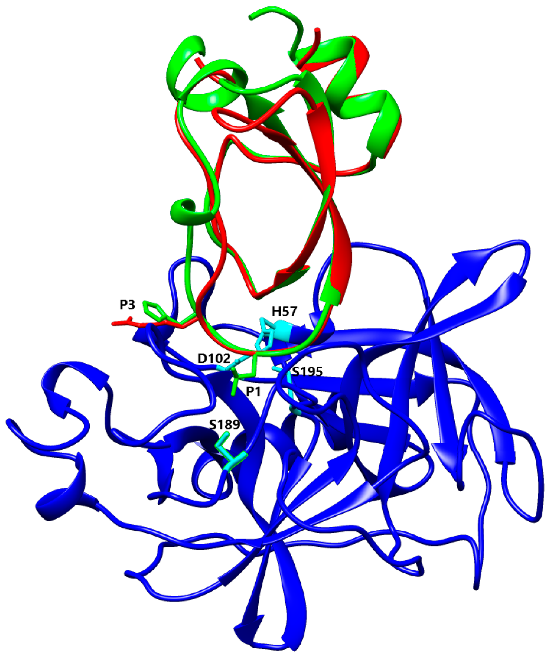 Biomolecules 12 00988 g009 Biomolecules 12 00988 g009