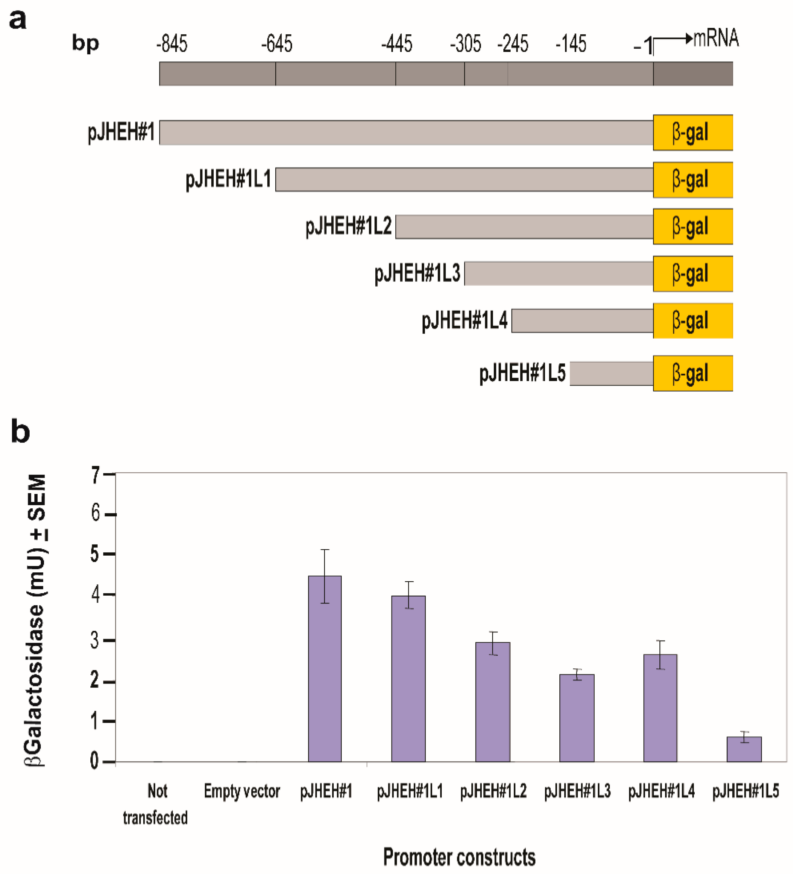 Biomolecules 12 00991 g005