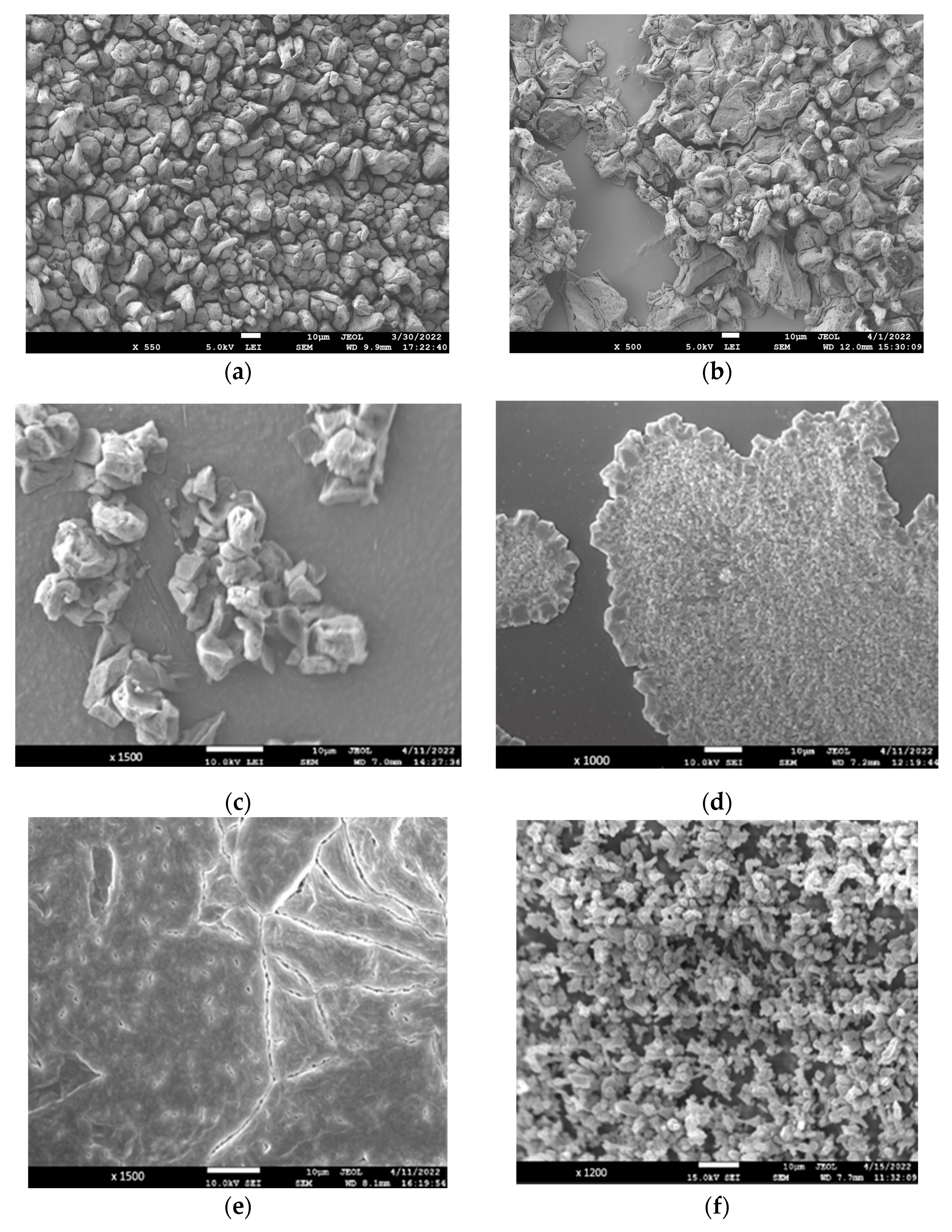 Biomolecules 12 00992 g007