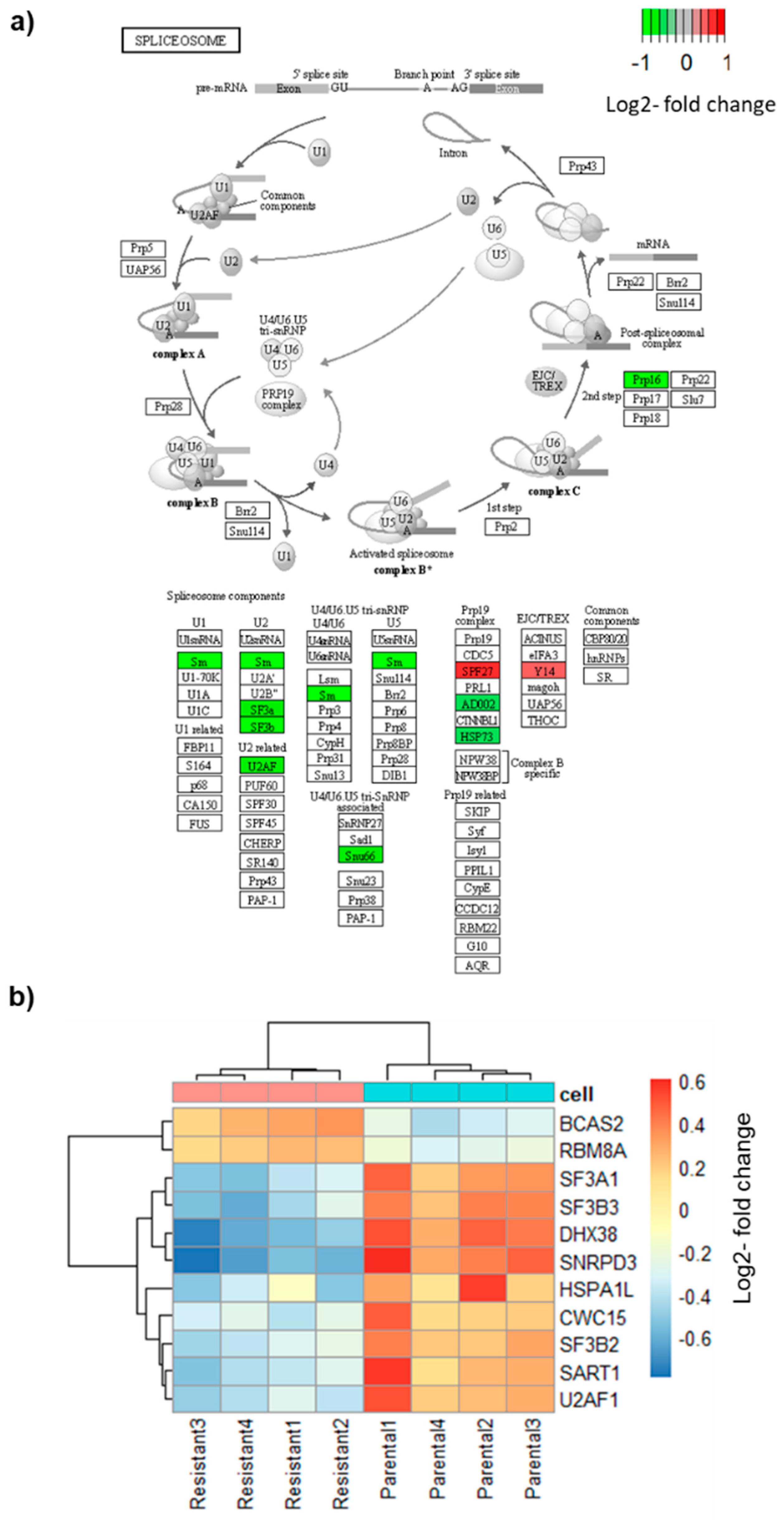 Biomolecules 12 00993 g002 550