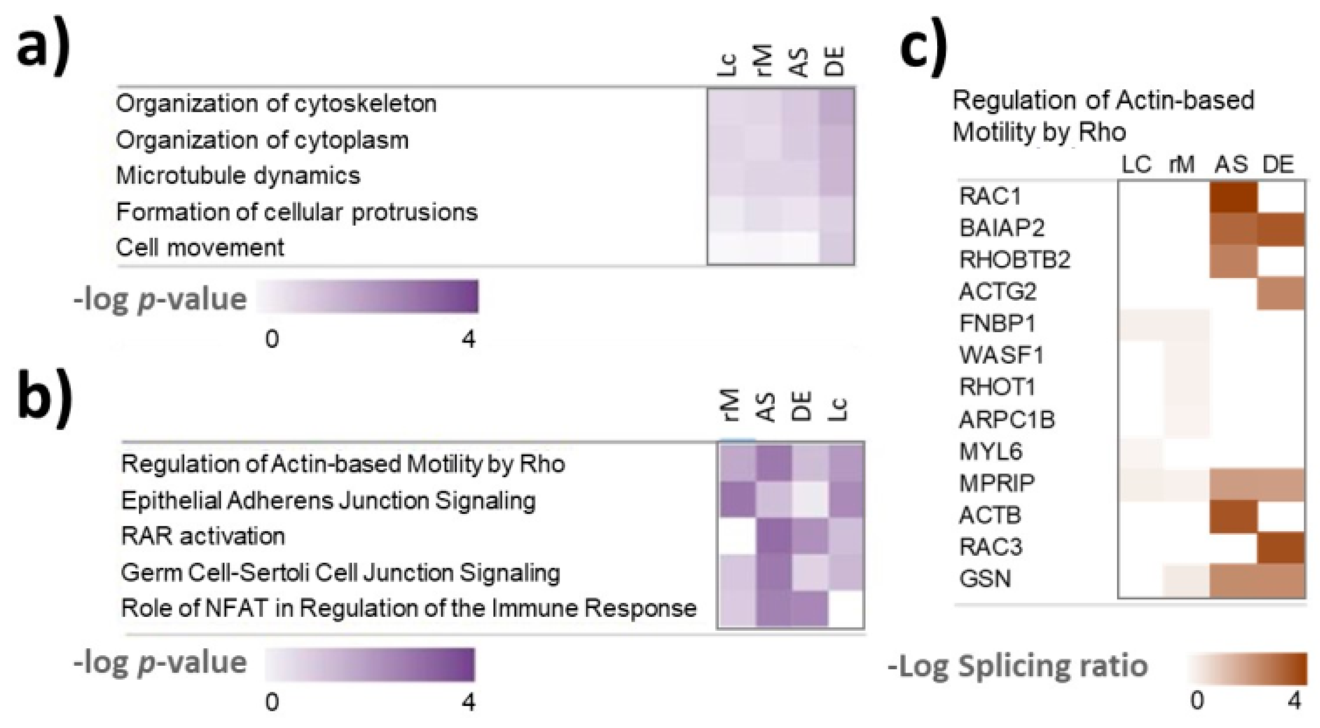 Biomolecules 12 00993 g007 550