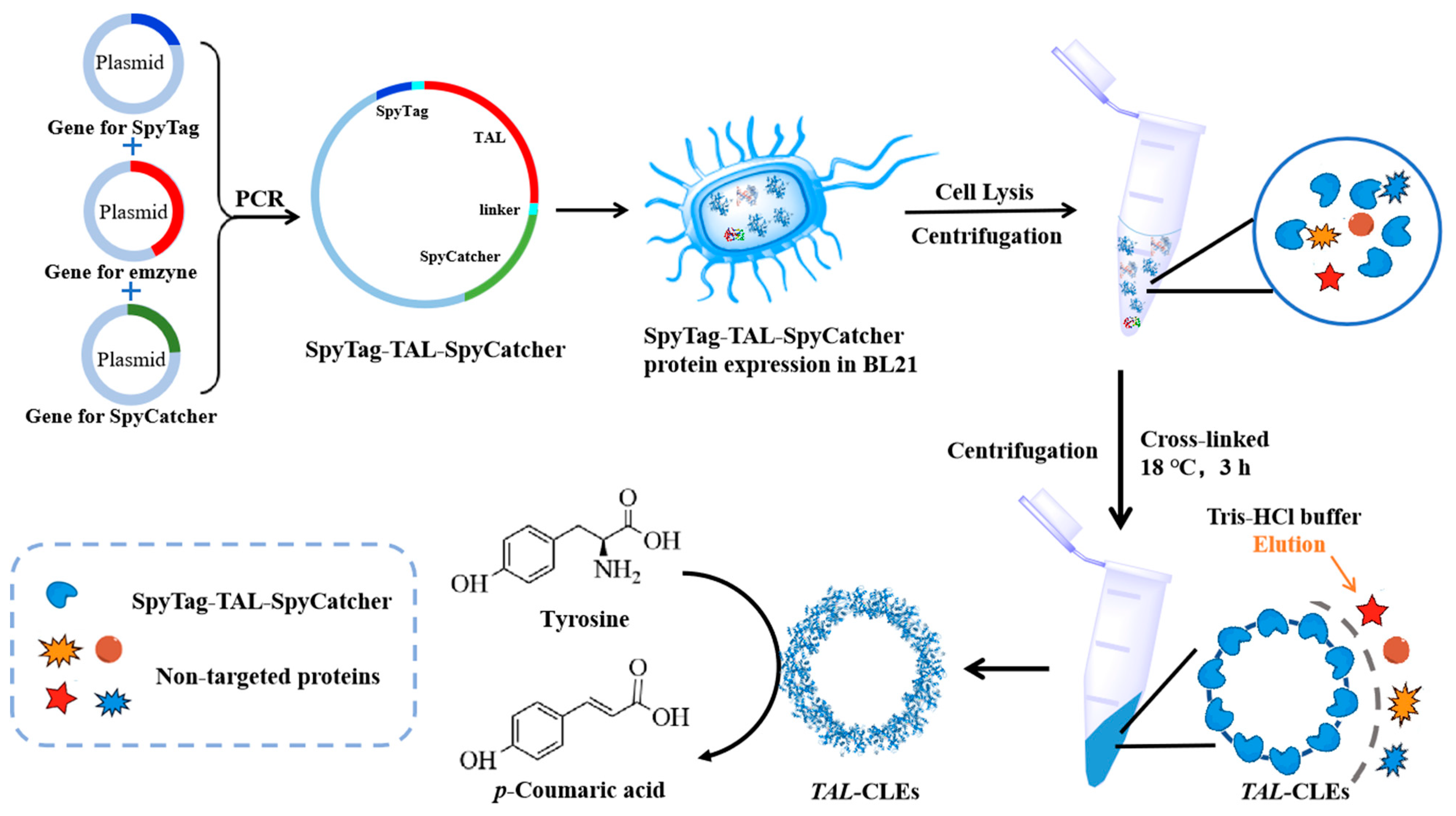 Biomolecules 12 00997 sch001