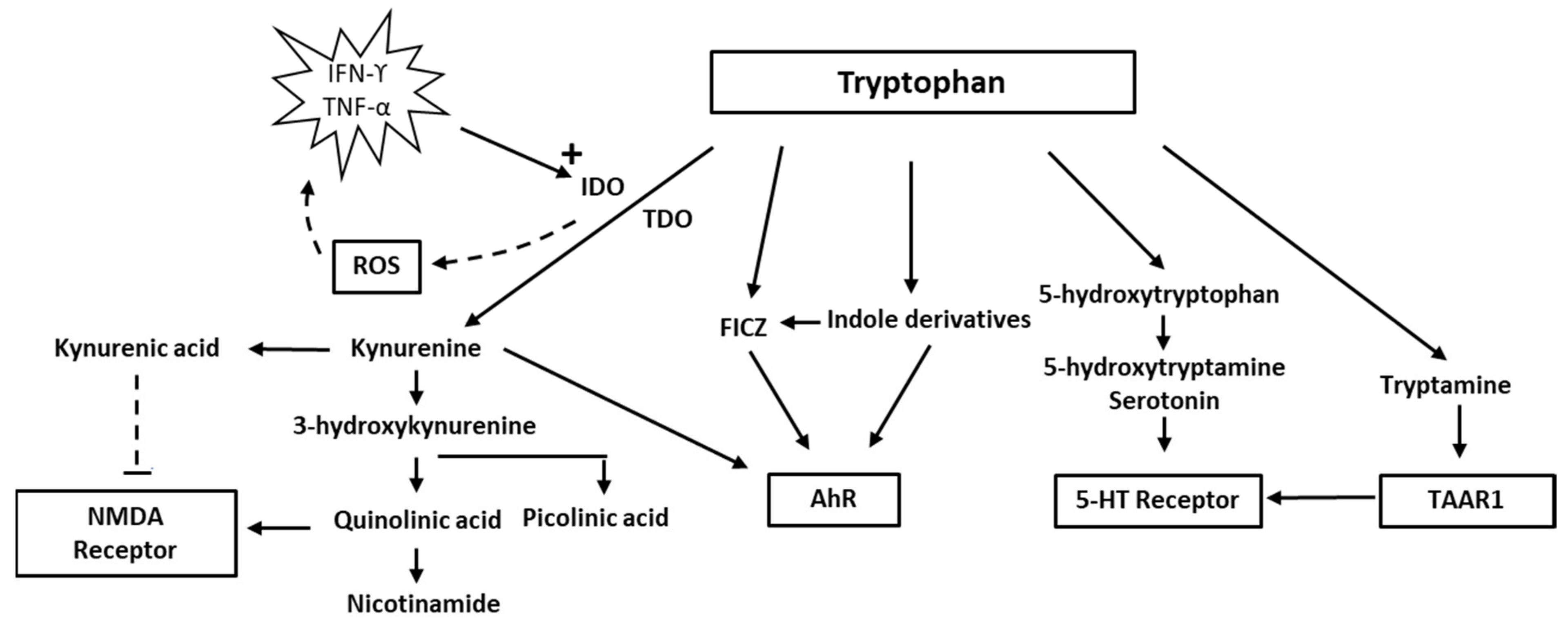 Biomolecules 12 00998 g001 550